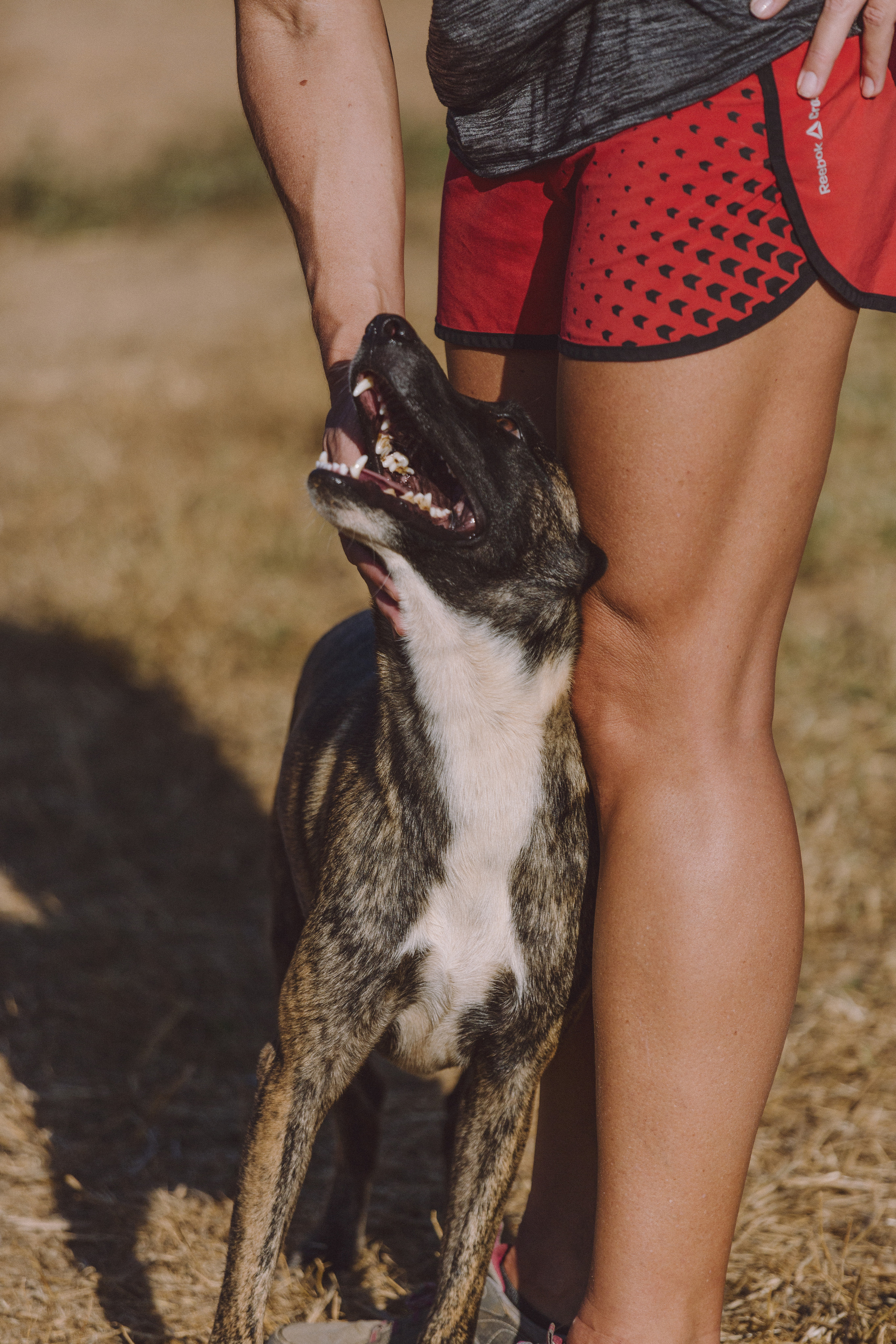 Bella Vida. Photos by Vasilisa Popil