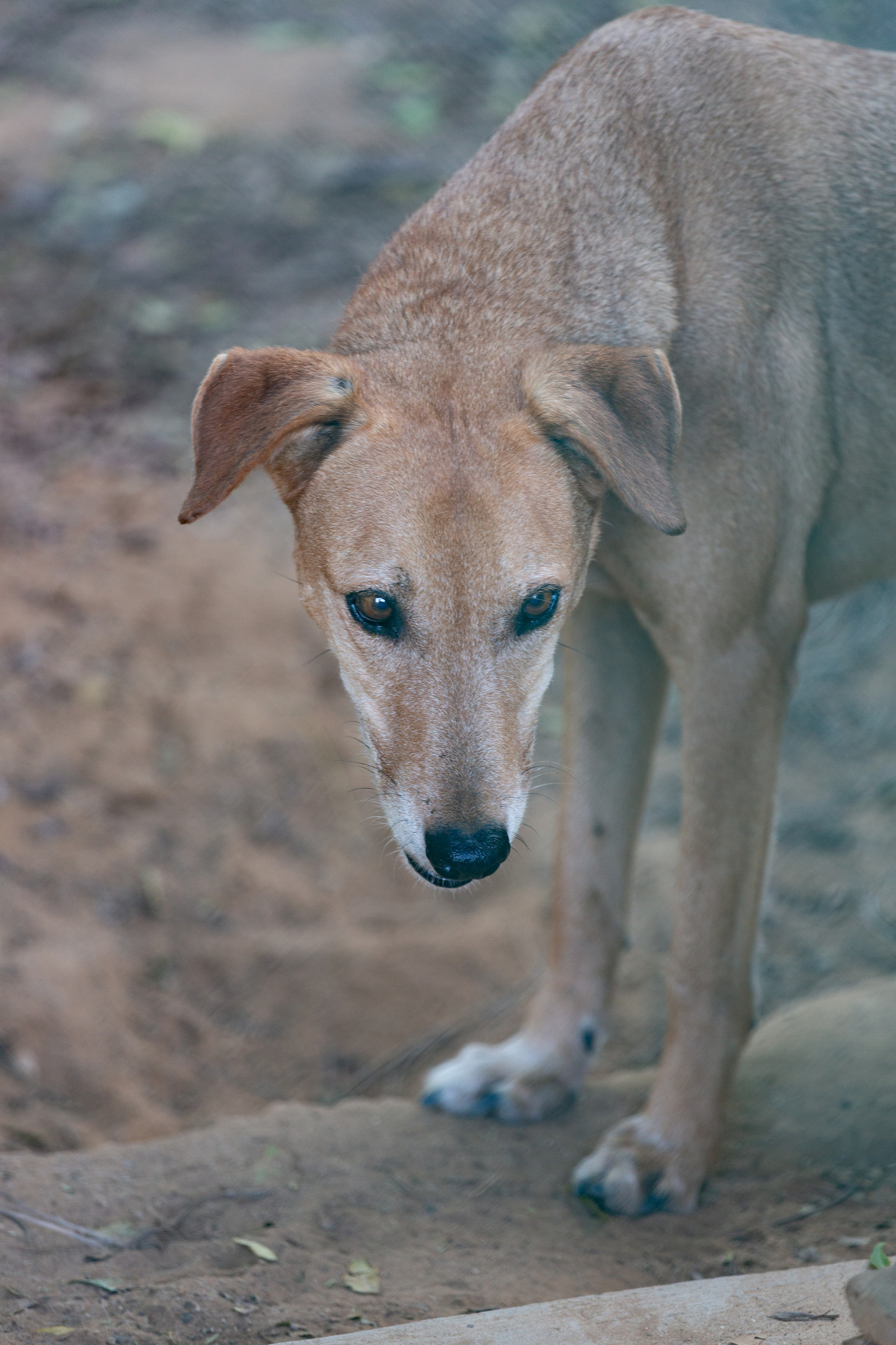 Bella Vida. Photos by Vasilisa Popil