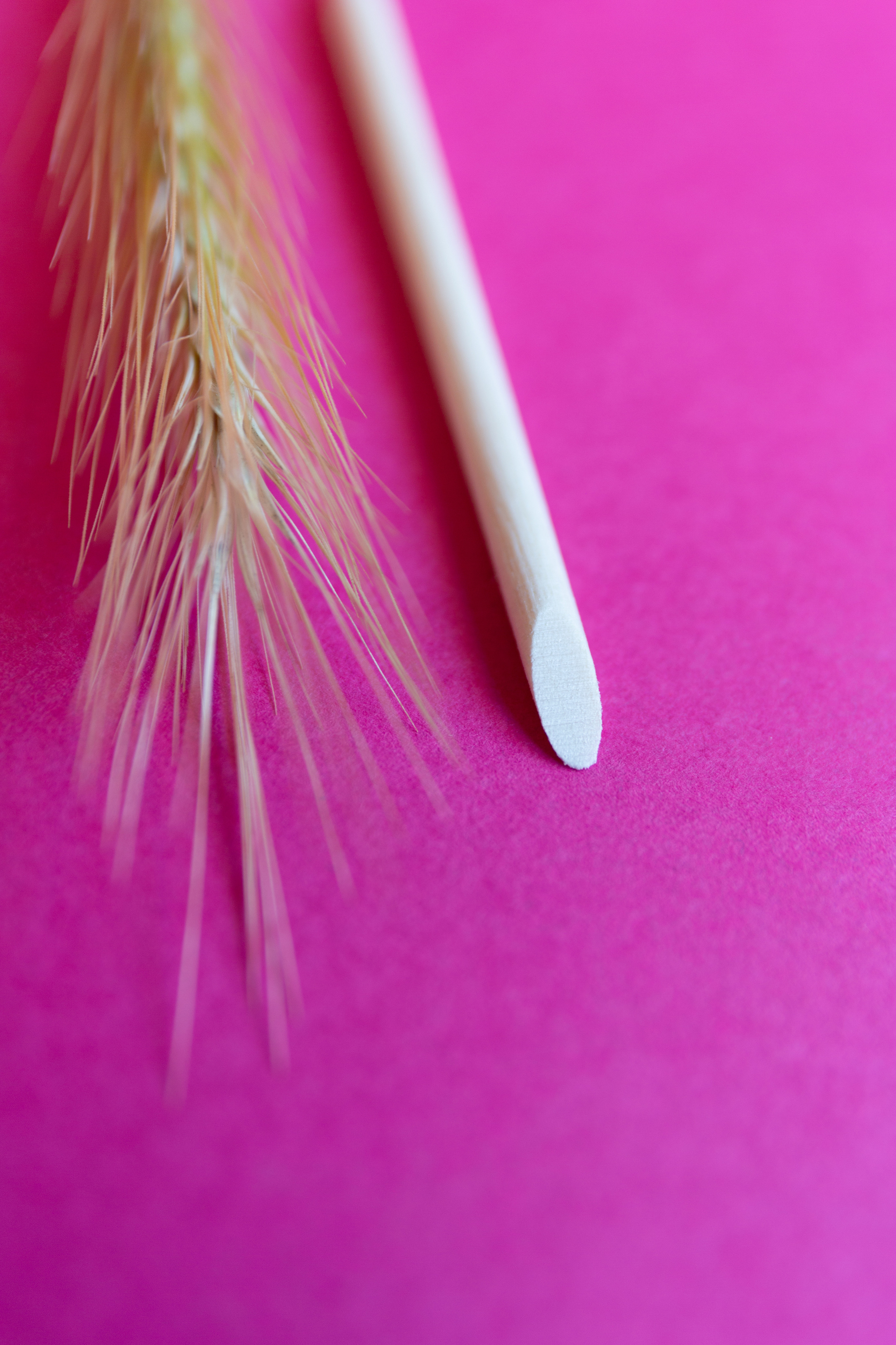 Power beauty. Photos by Vasilisa Popil