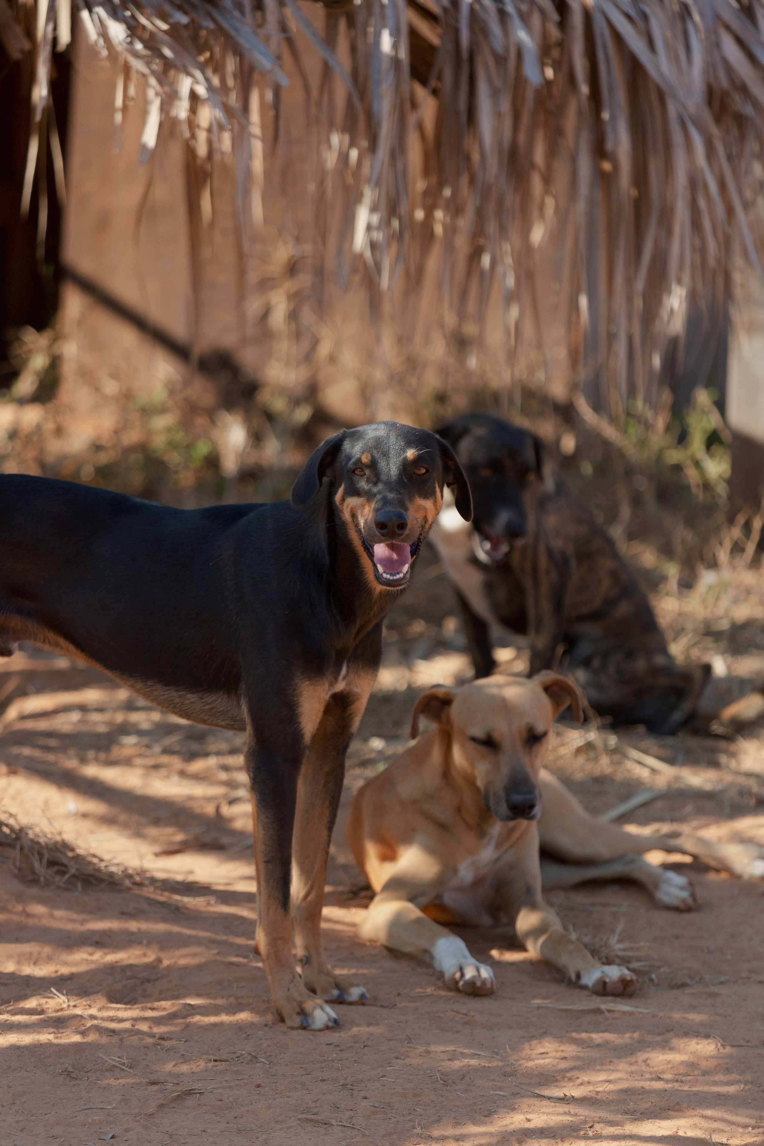 Bella Vida. Photos by Vasilisa Popil