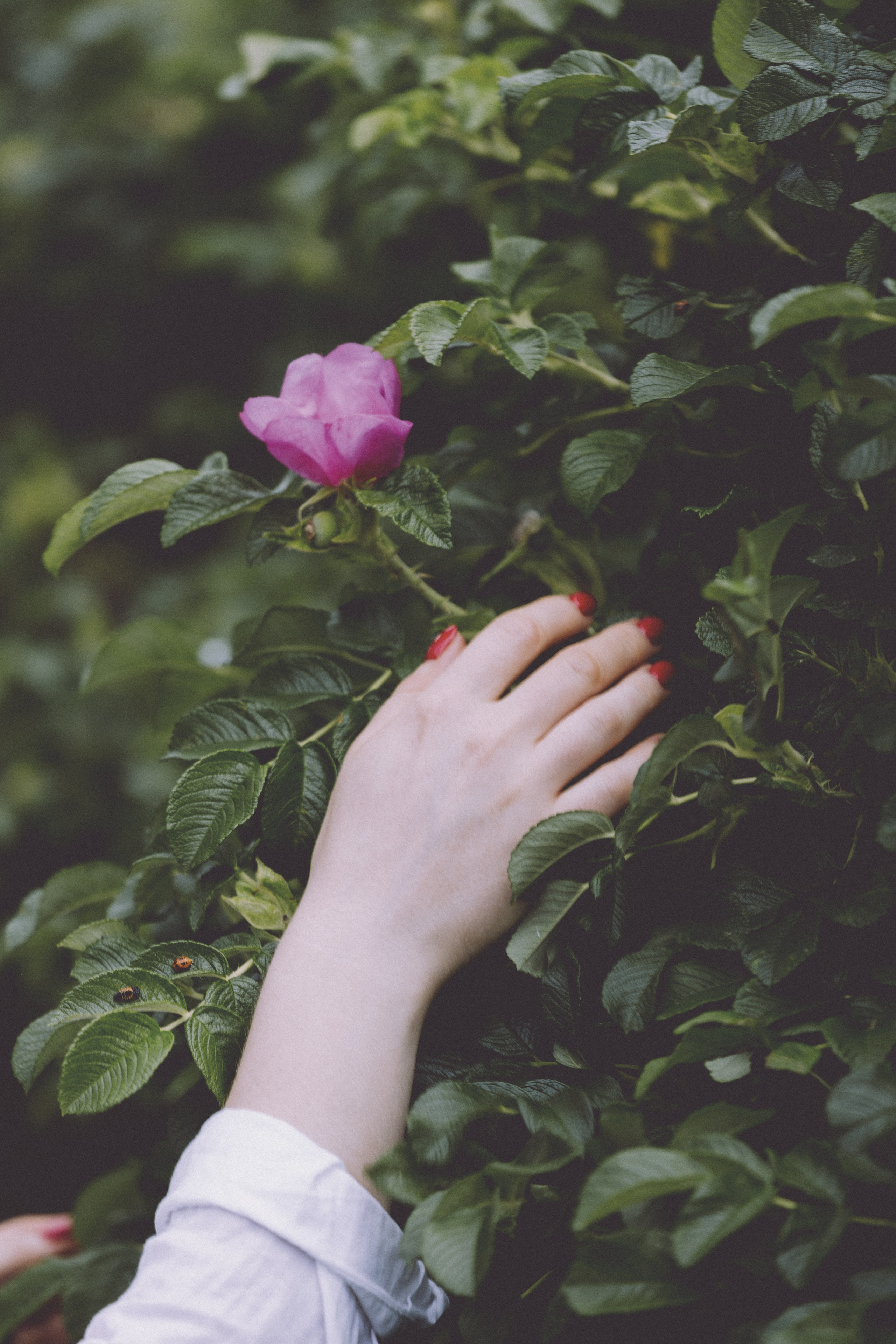 Bohdana/2022. Photos by Vasilisa Popil