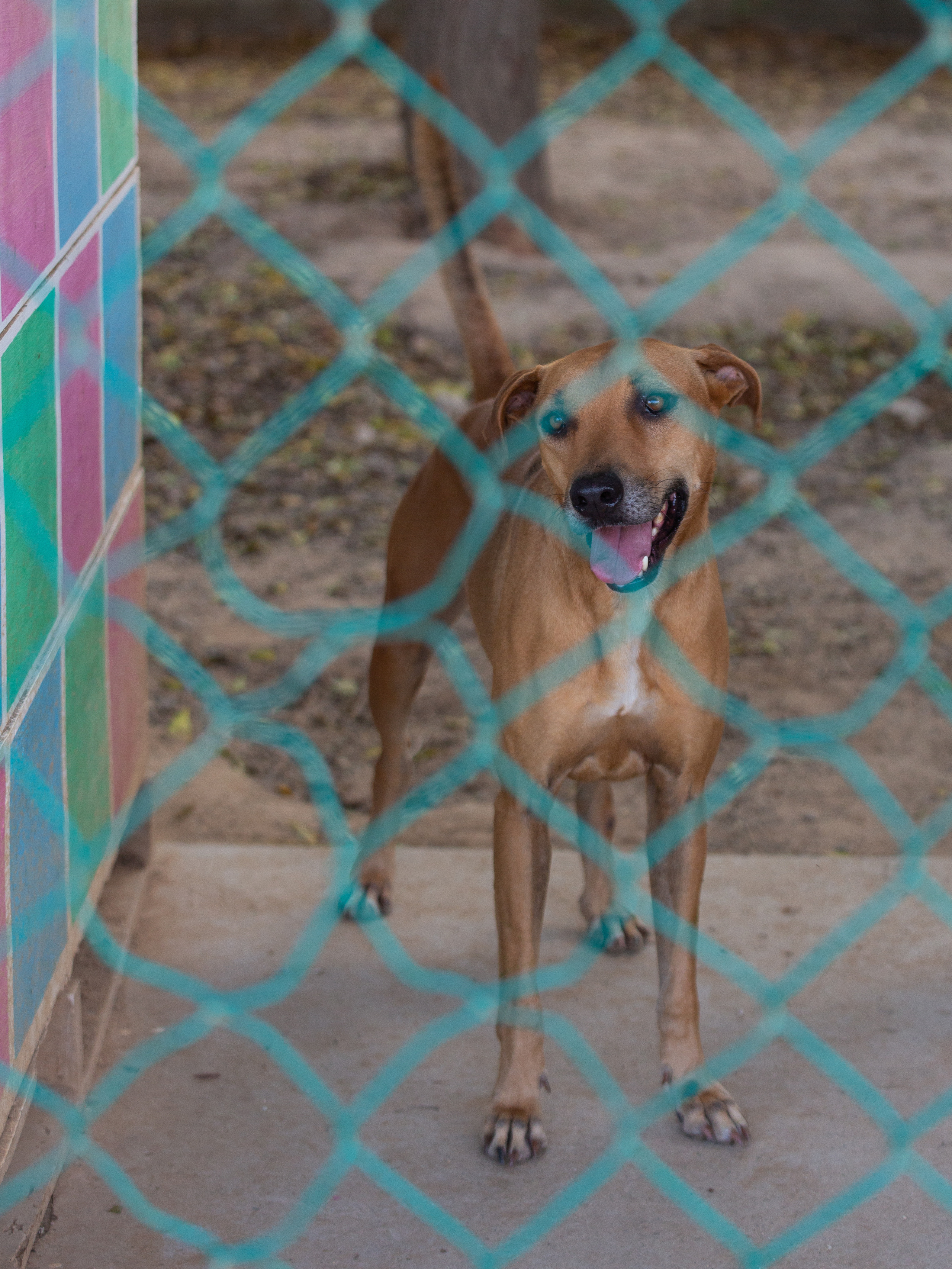 Bella Vida. Photos by Vasilisa Popil