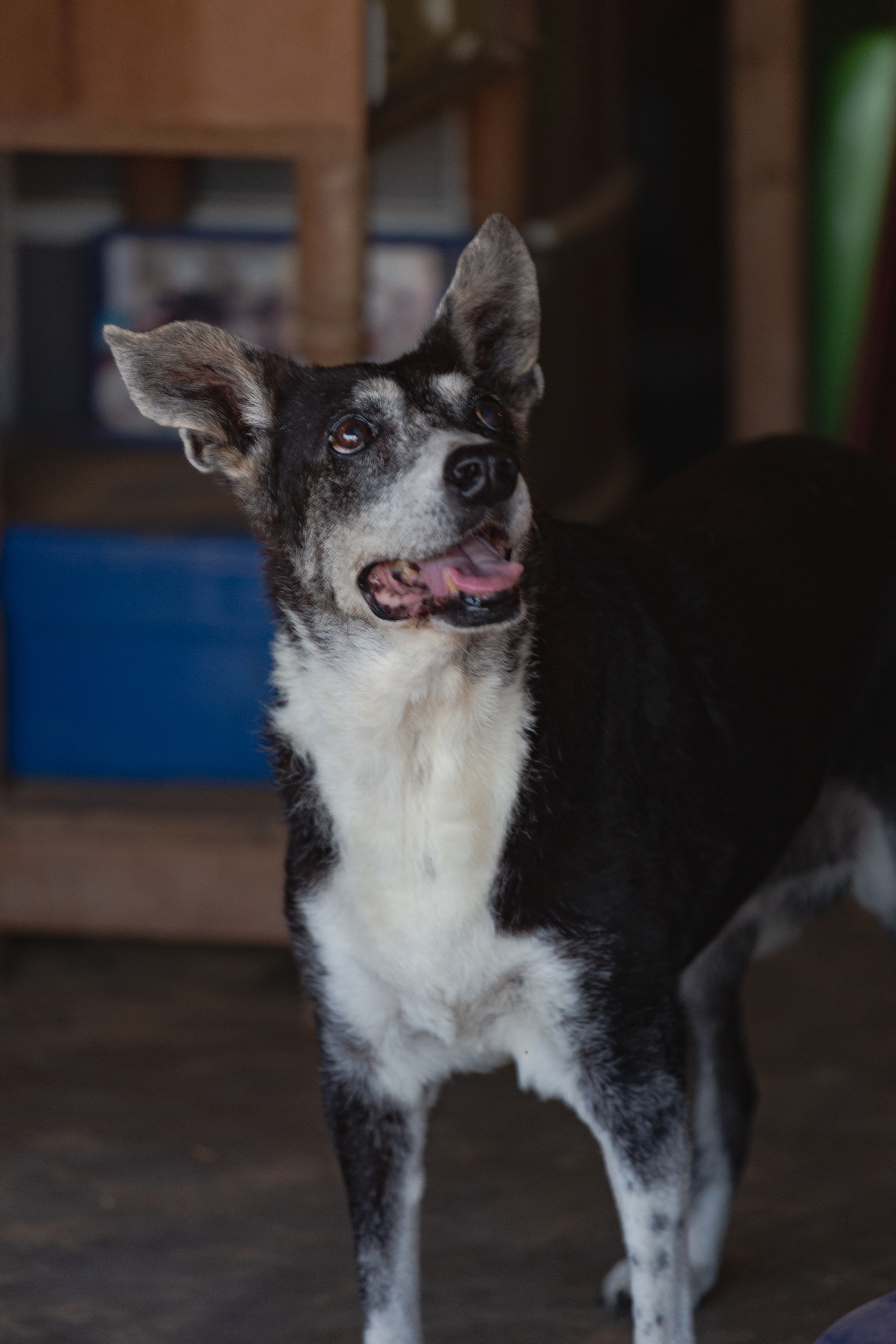 Bella Vida. Photos by Vasilisa Popil