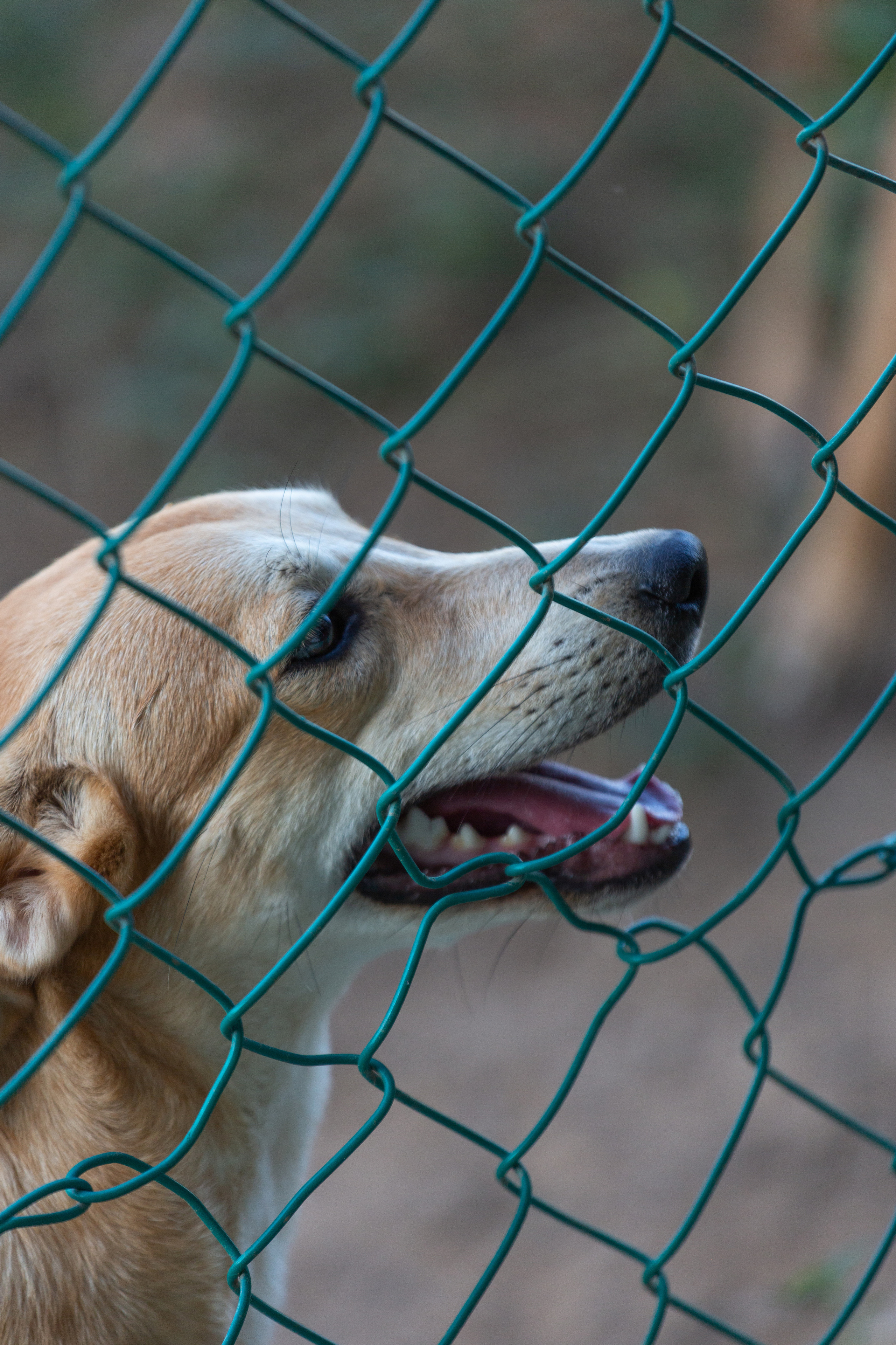 Bella Vida. Photos by Vasilisa Popil
