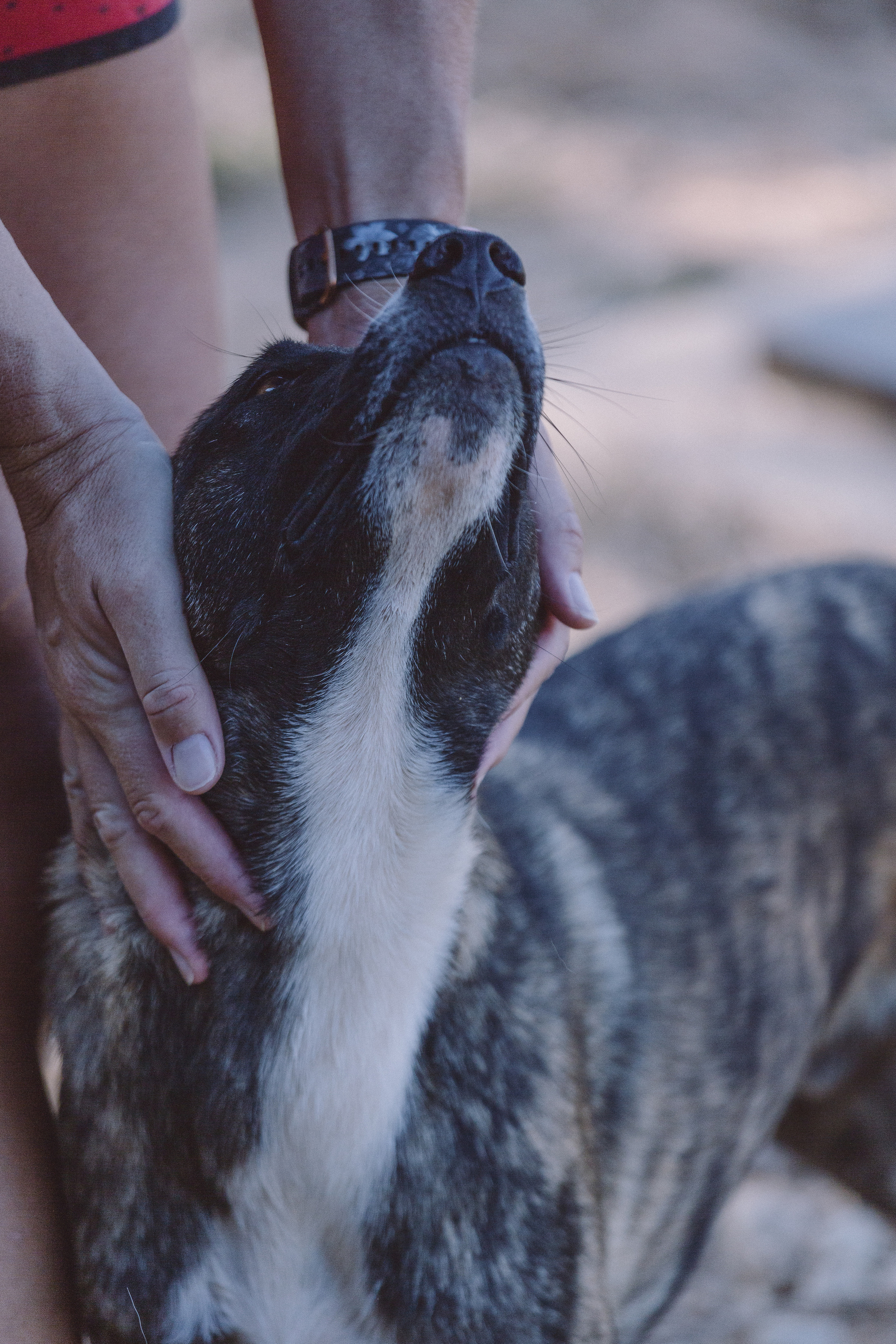 Bella Vida. Photos by Vasilisa Popil