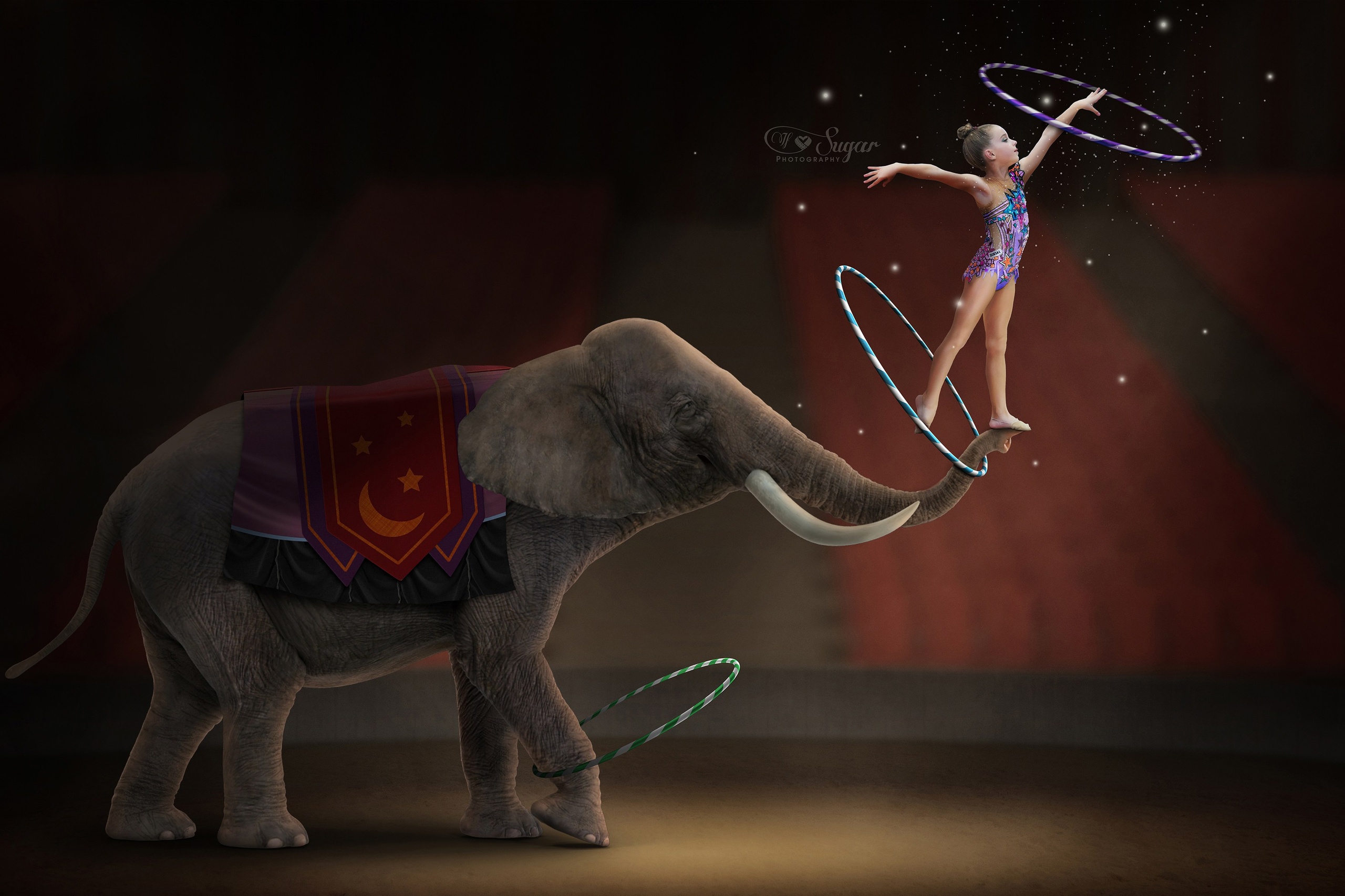 If Sugar Photography — Детски и семеен фотограф в София, Студентски град