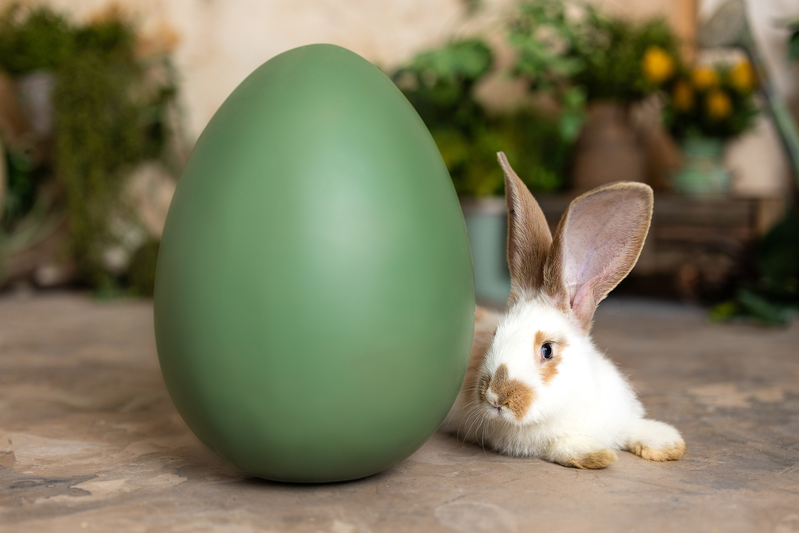 If Sugar Photography — Детски и семеен фотограф в София, Студентски град