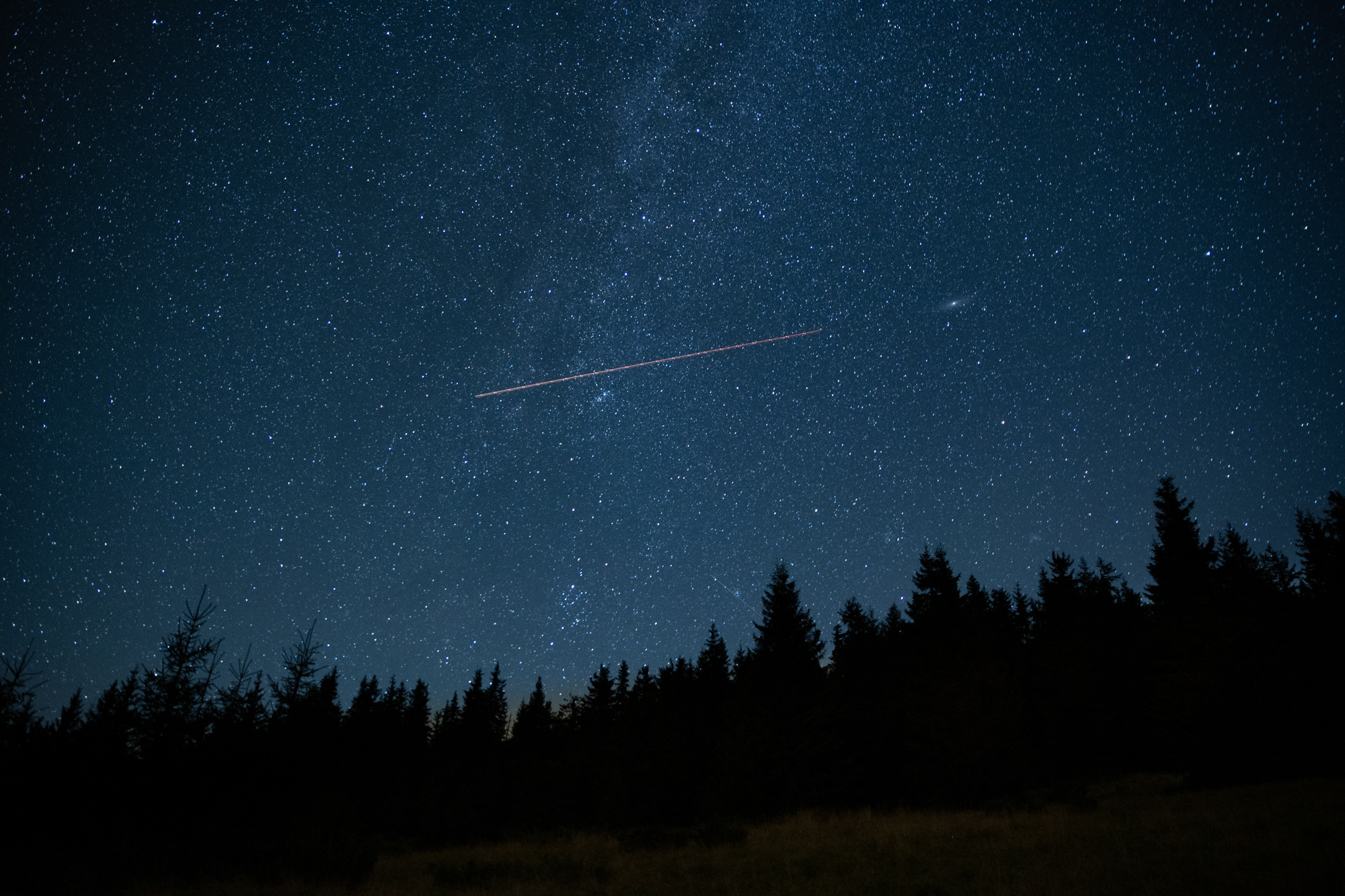 Природа. Свадебный, Семейный, детский фотограф, а также фотограф на таинство кр