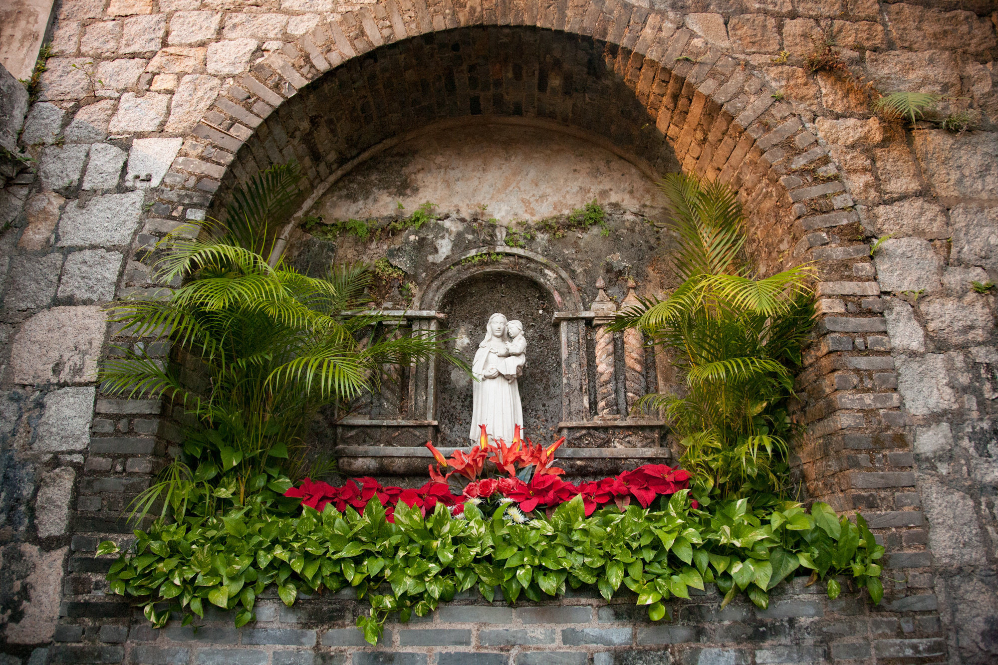 Природа. Свадебный, Семейный, детский фотограф, а также фотограф на таинство кр