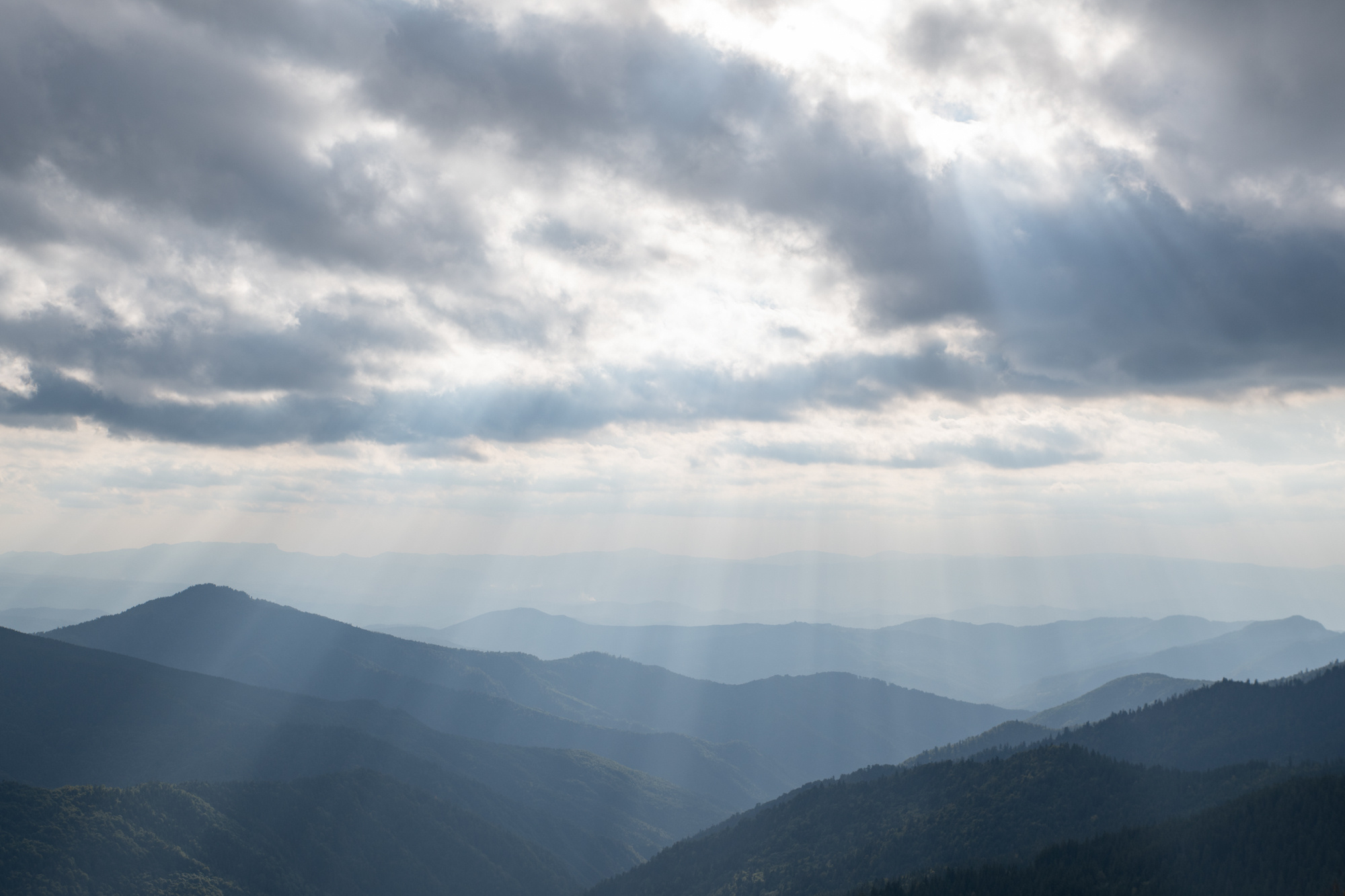 Природа. Свадебный, Семейный, детский фотограф, а также фотограф на таинство кр