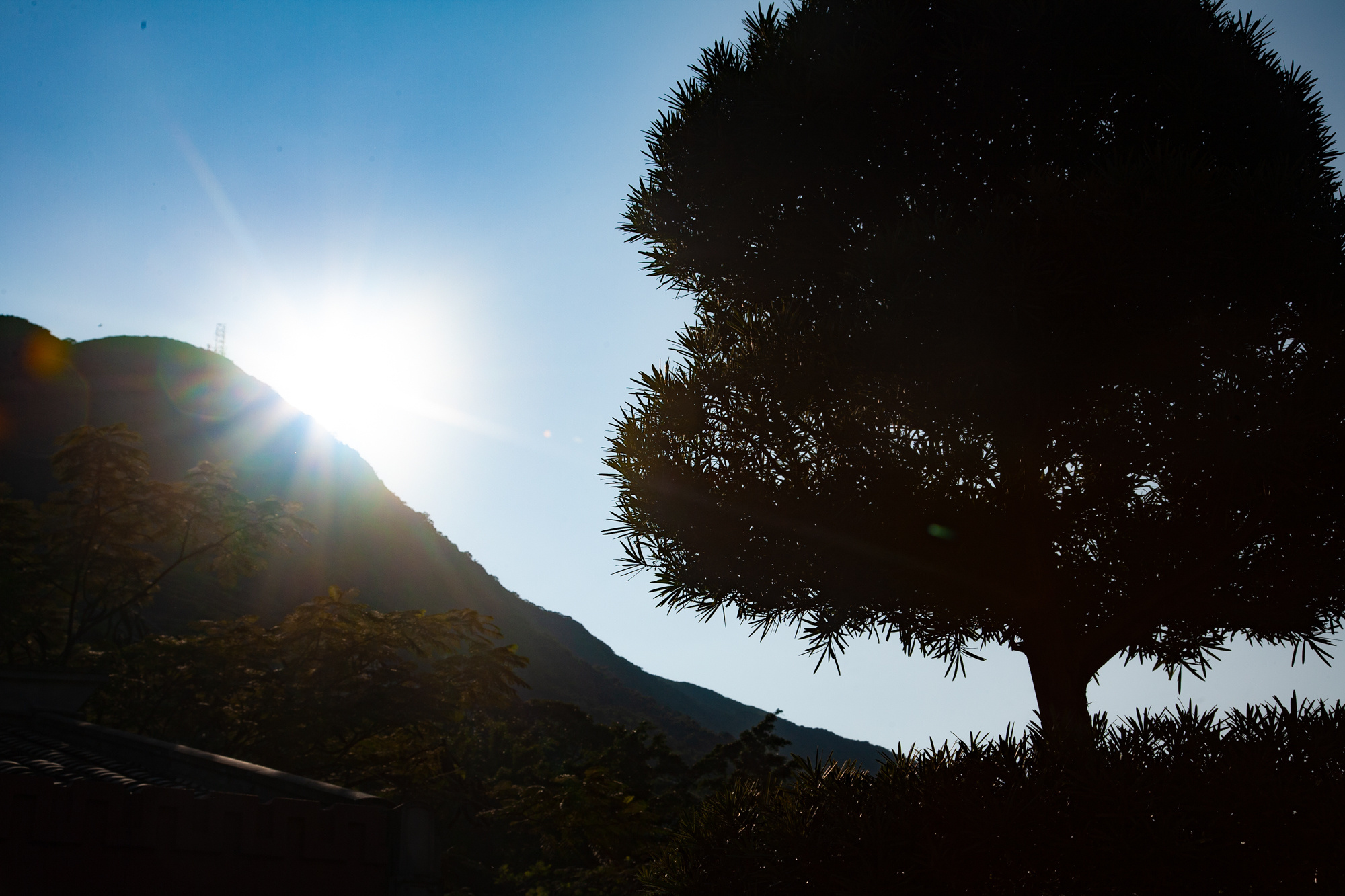 Природа. Свадебный, Семейный, детский фотограф, а также фотограф на таинство кр