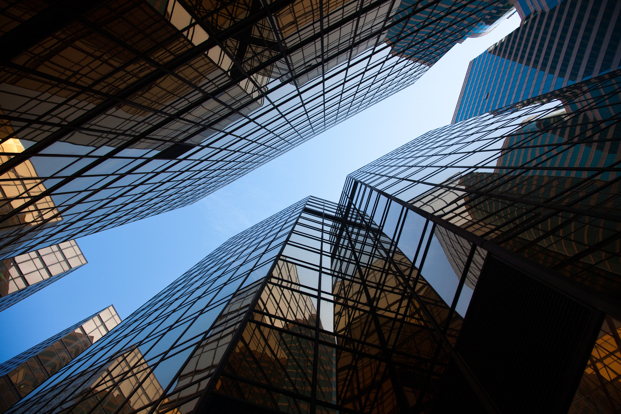 Природа. Свадебный, Семейный, детский фотограф, а также фотограф на таинство кр