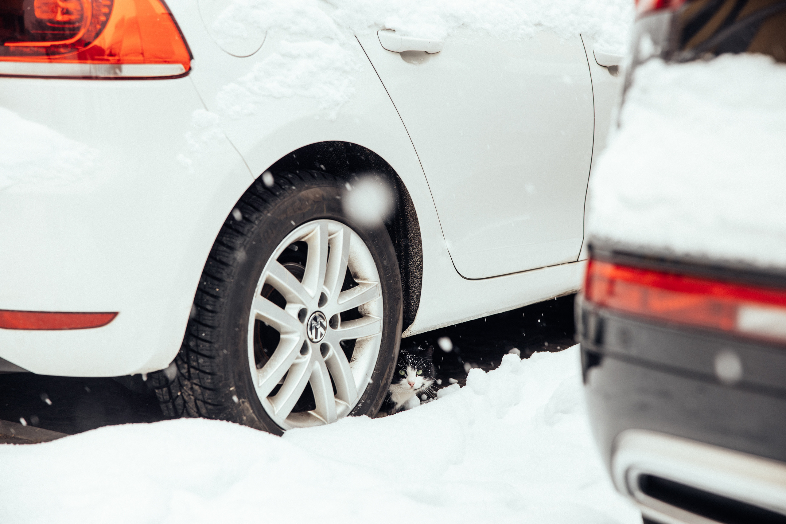 One Winter Day. Every moment is special!