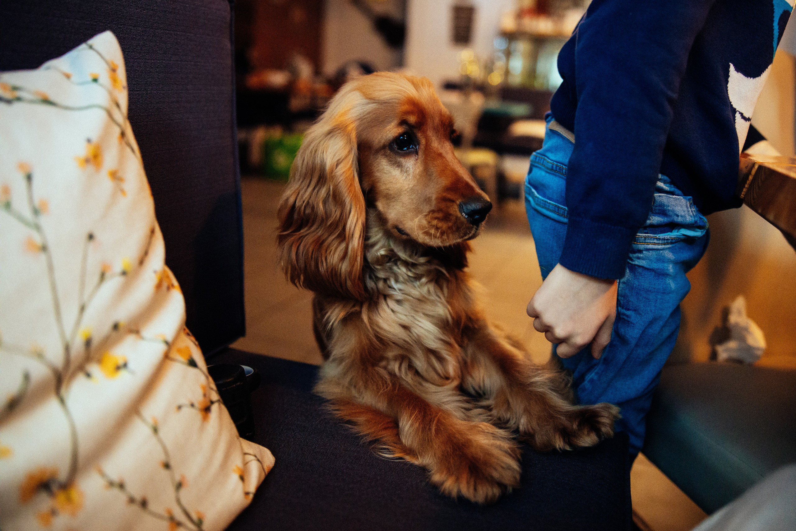 Family Cafe. Every moment is special!