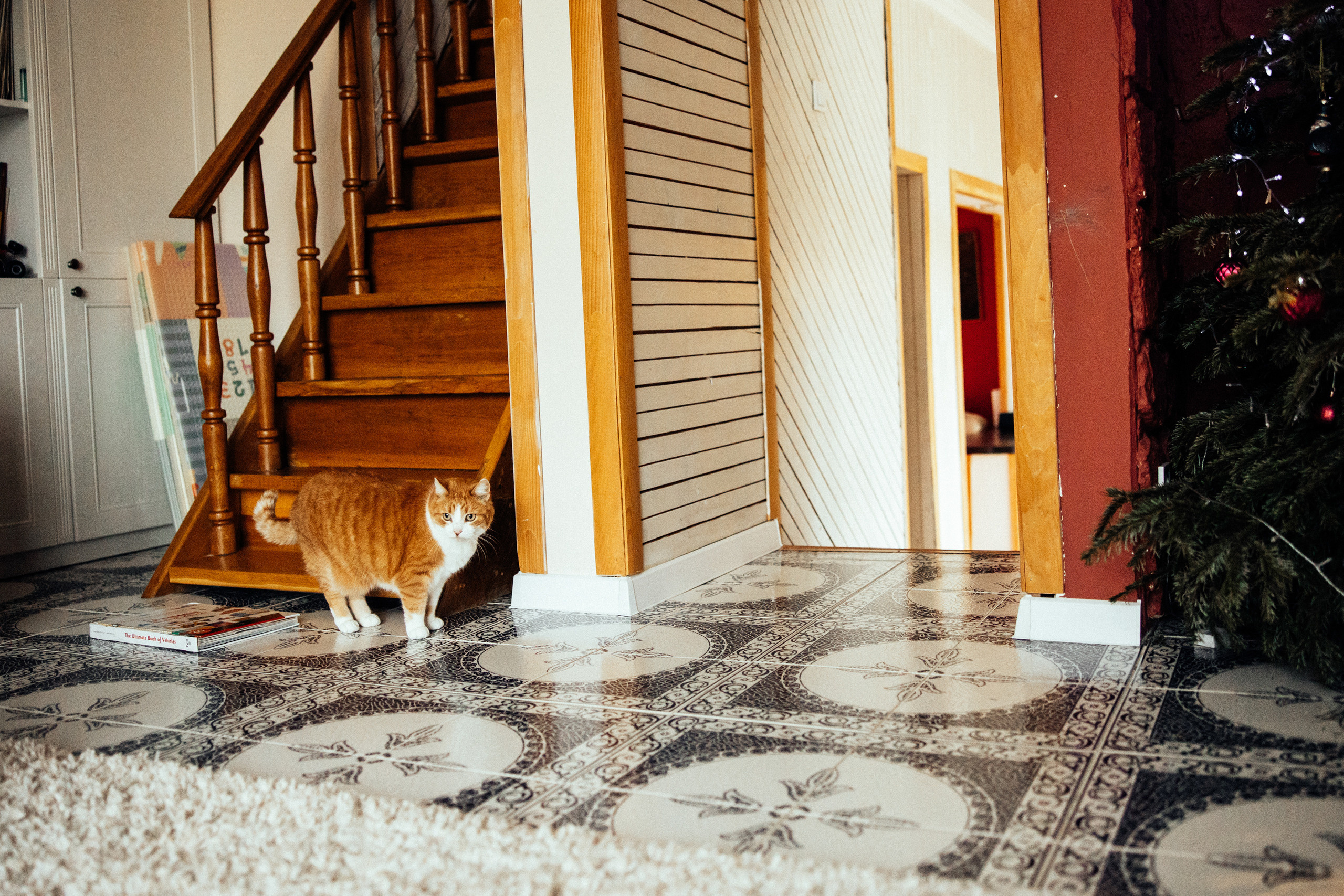 Nataly, Boys & Cats. Every moment is special!