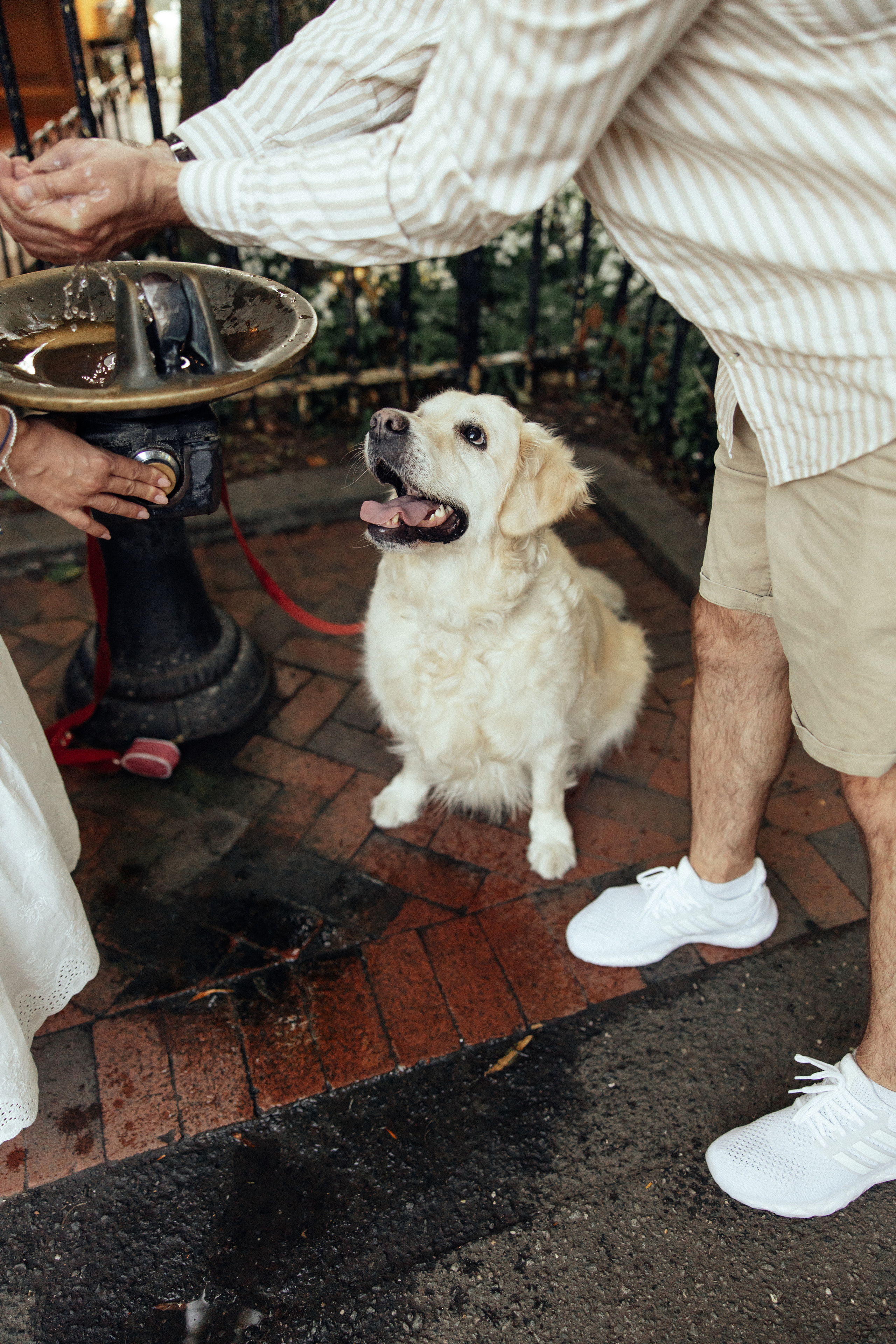 Waiting For U…. Every moment is special!