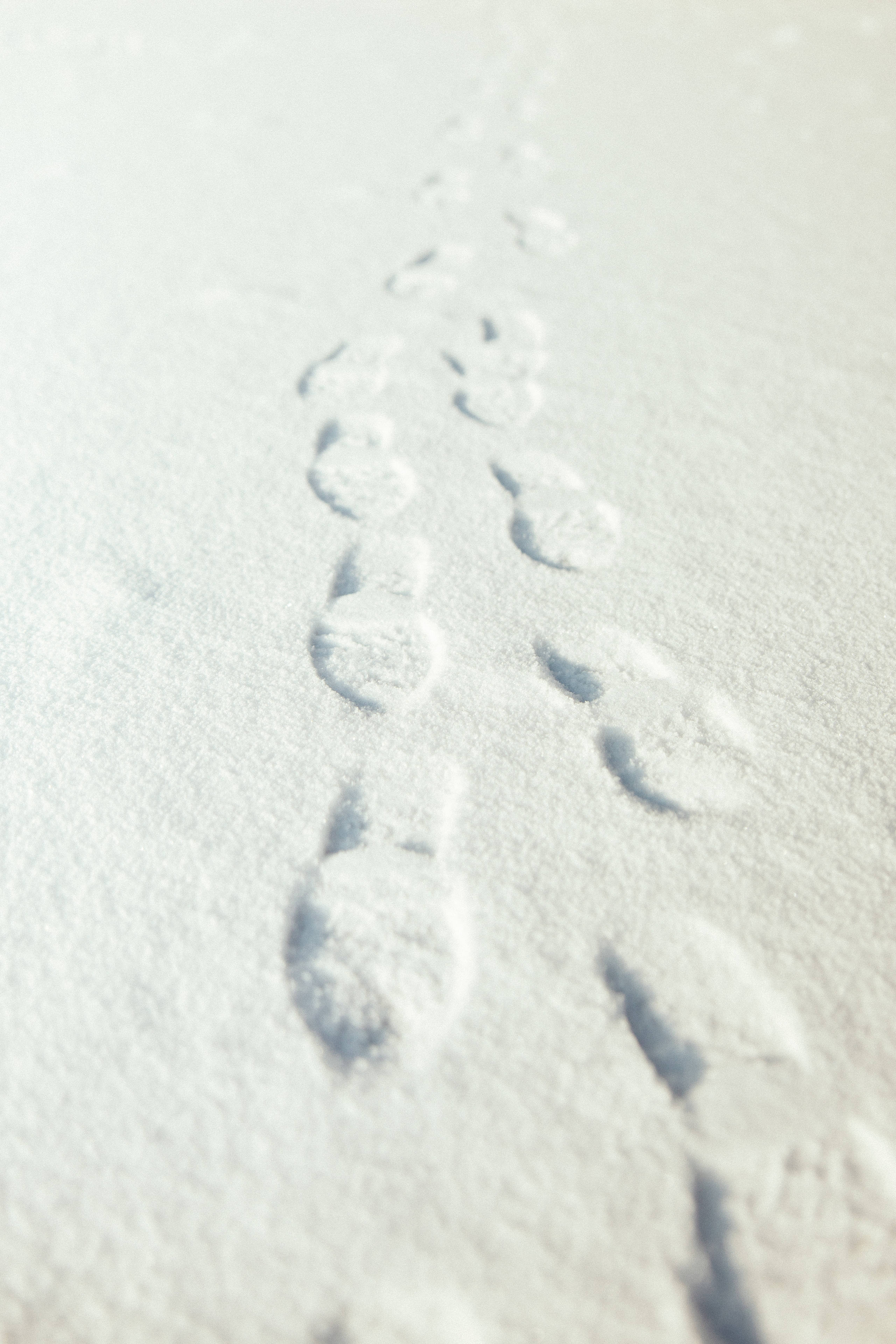 Freezing Sun Day. Every moment is special!