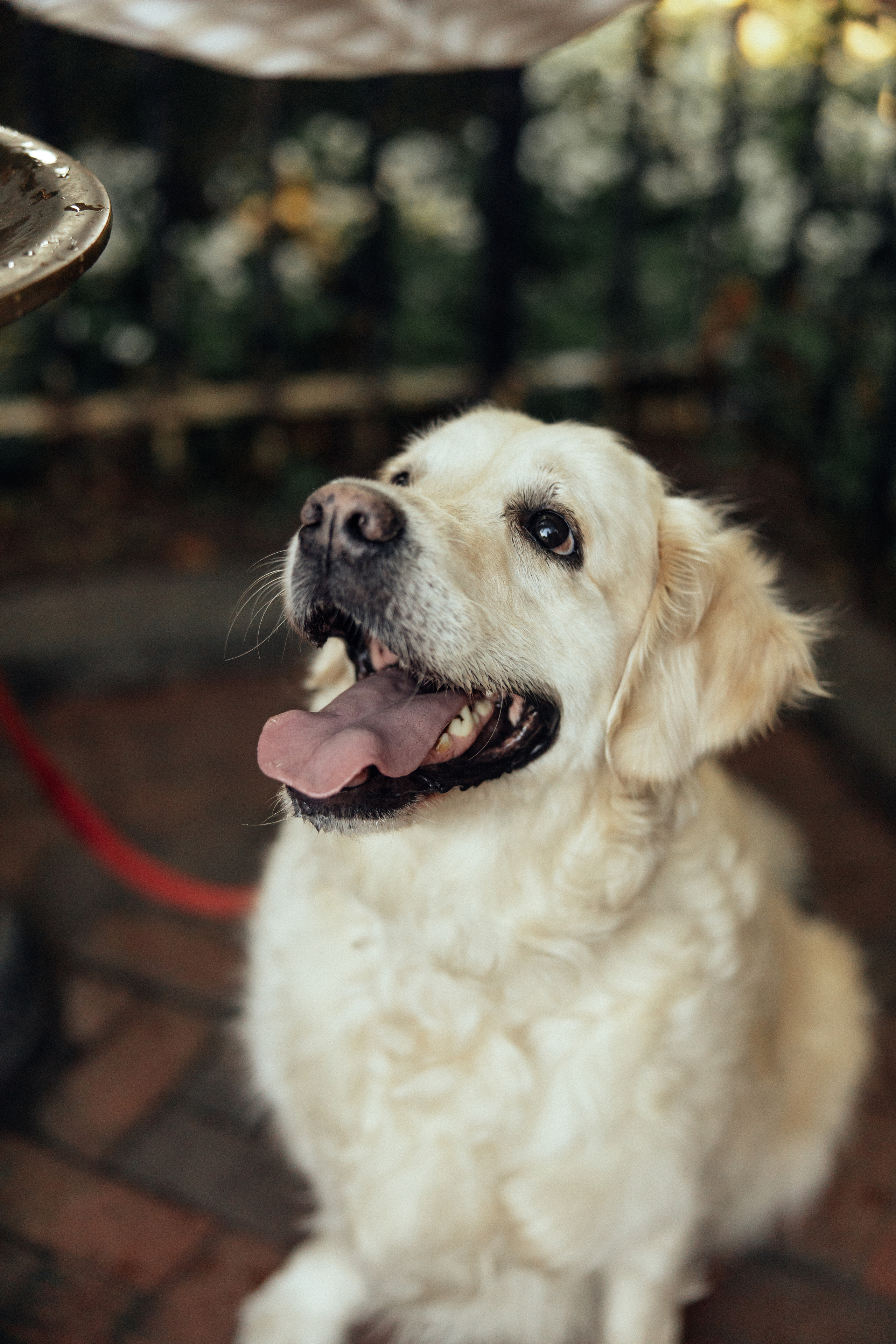 Waiting For U…. Every moment is special!