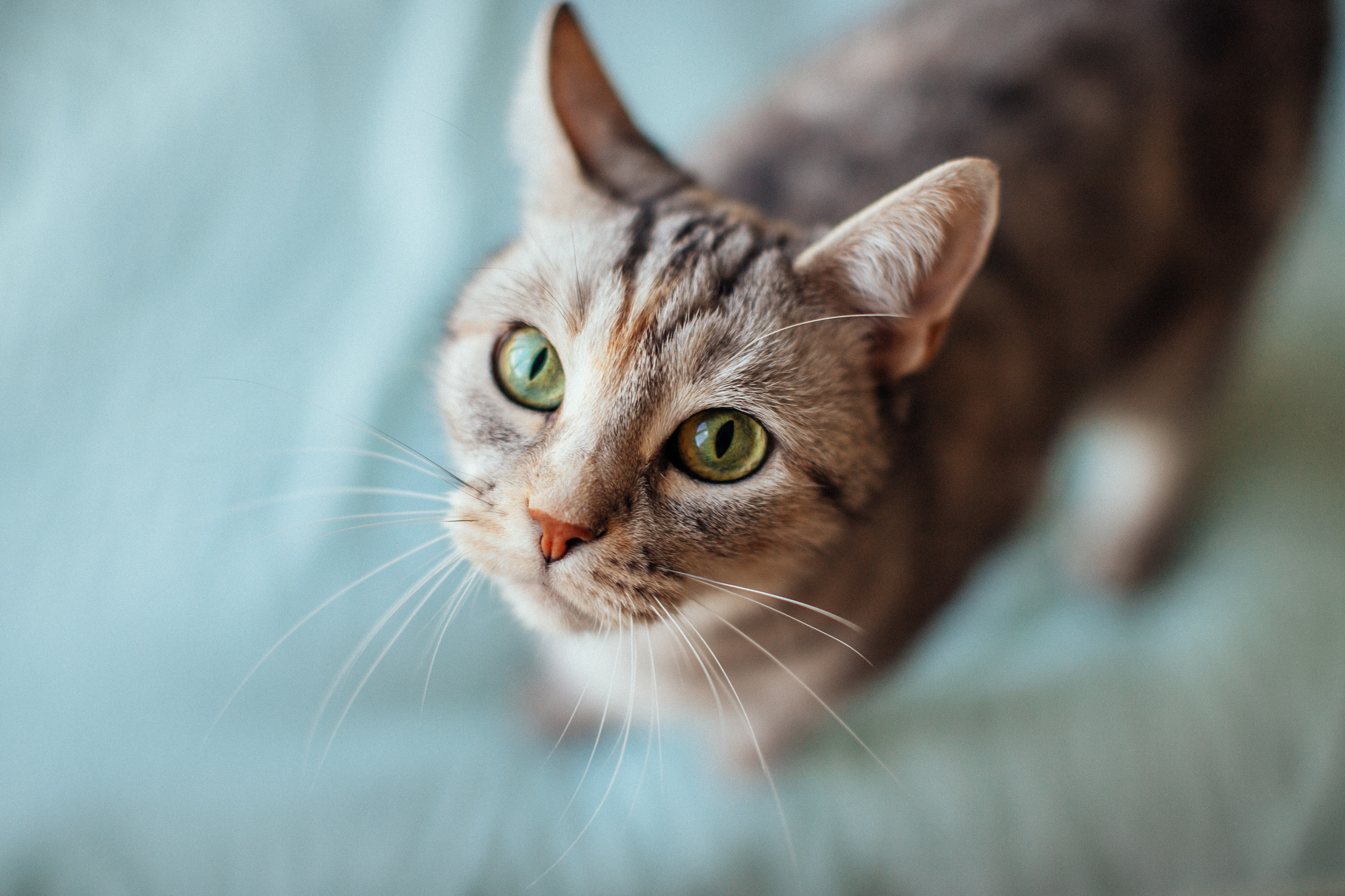 Every moment is special!