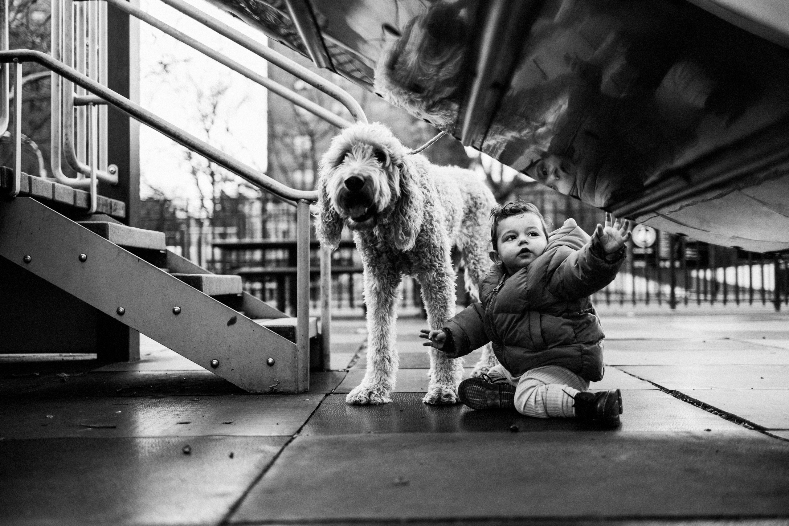 It’s Beginning to Look Like Christmas…. Every moment is special!