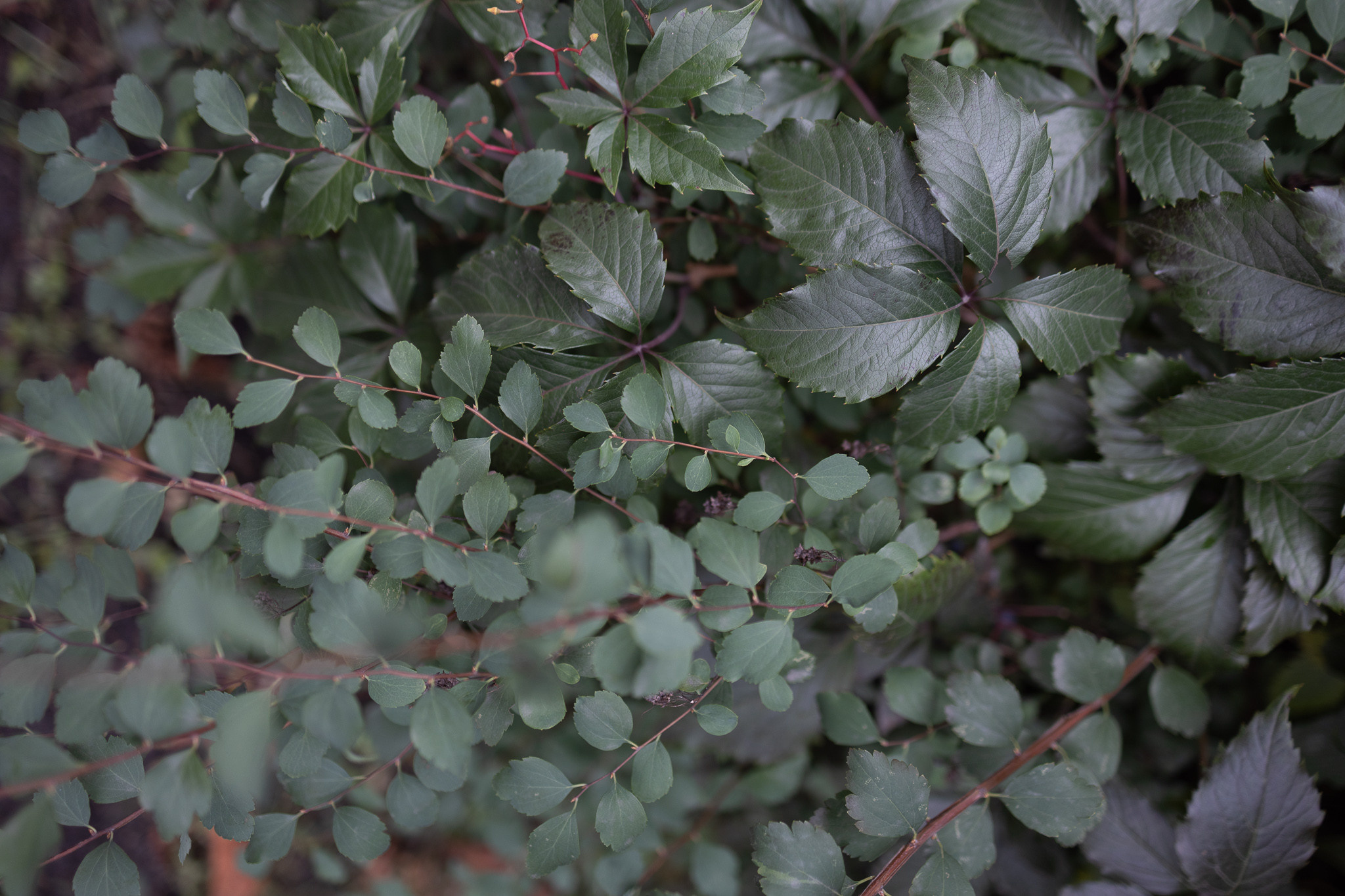 Вебінар з обробки. Every moment is special!