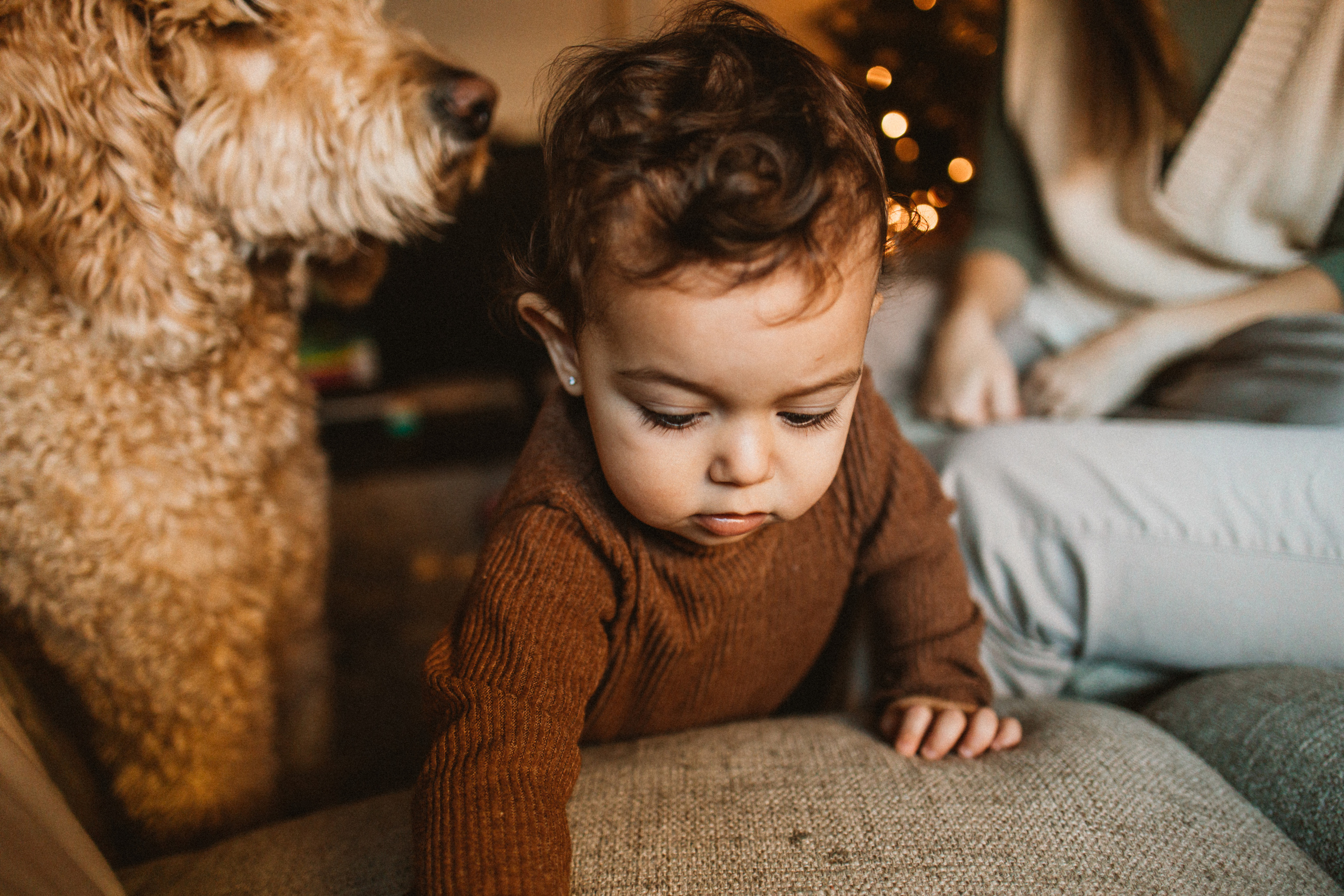 It’s Beginning to Look Like Christmas…. Every moment is special!