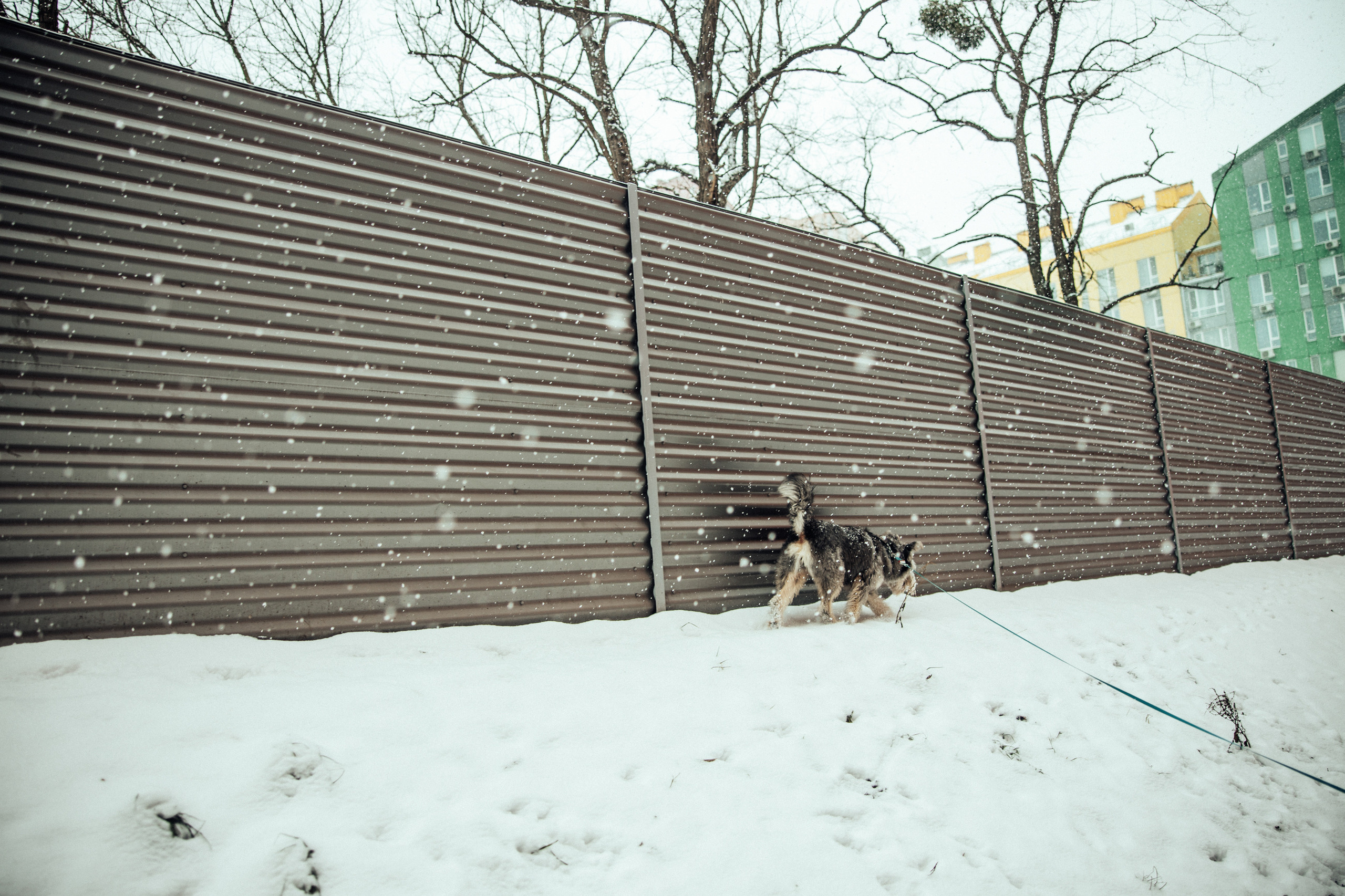 One Winter Day. Every moment is special!