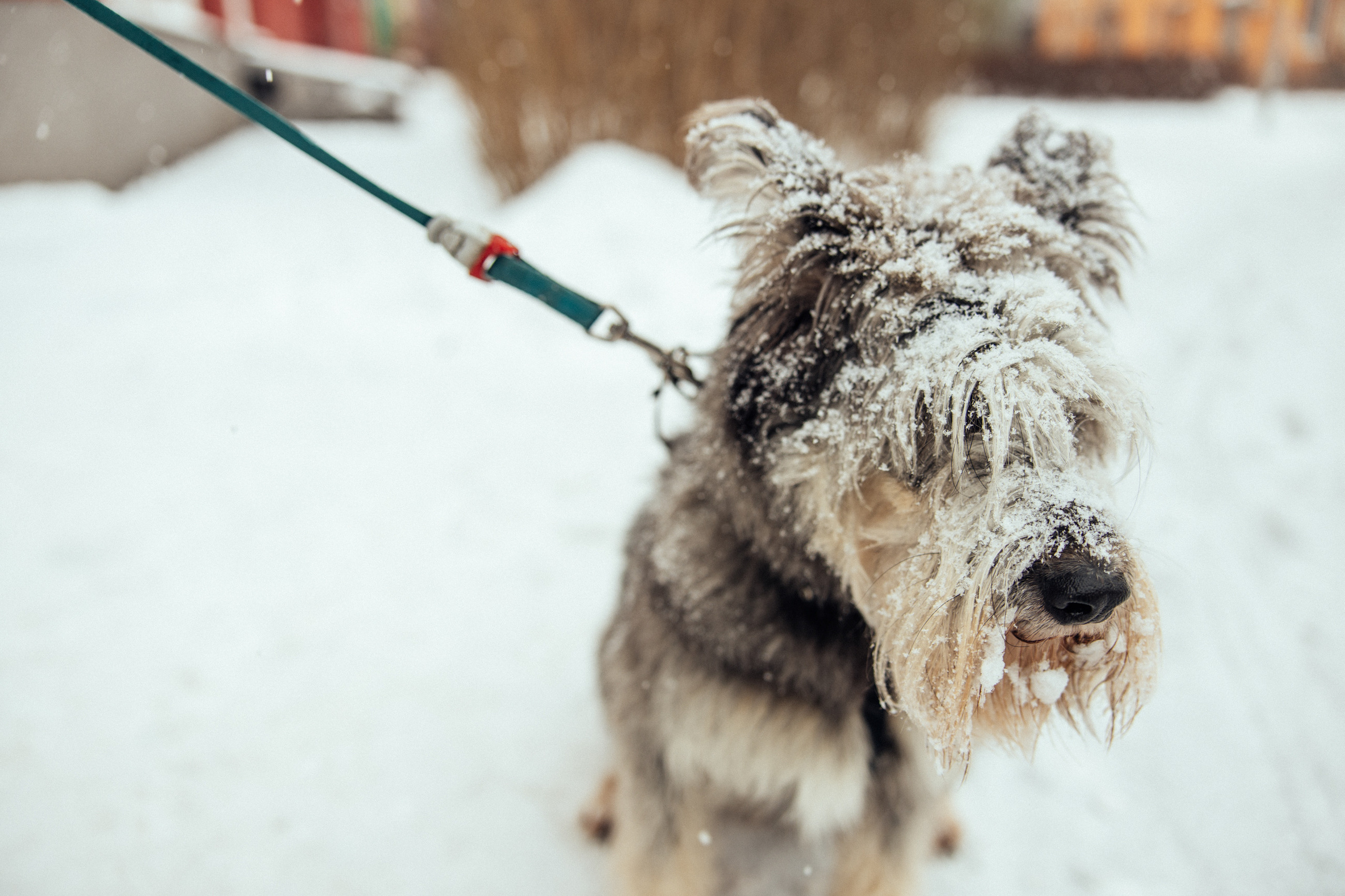 One Winter Day. Every moment is special!