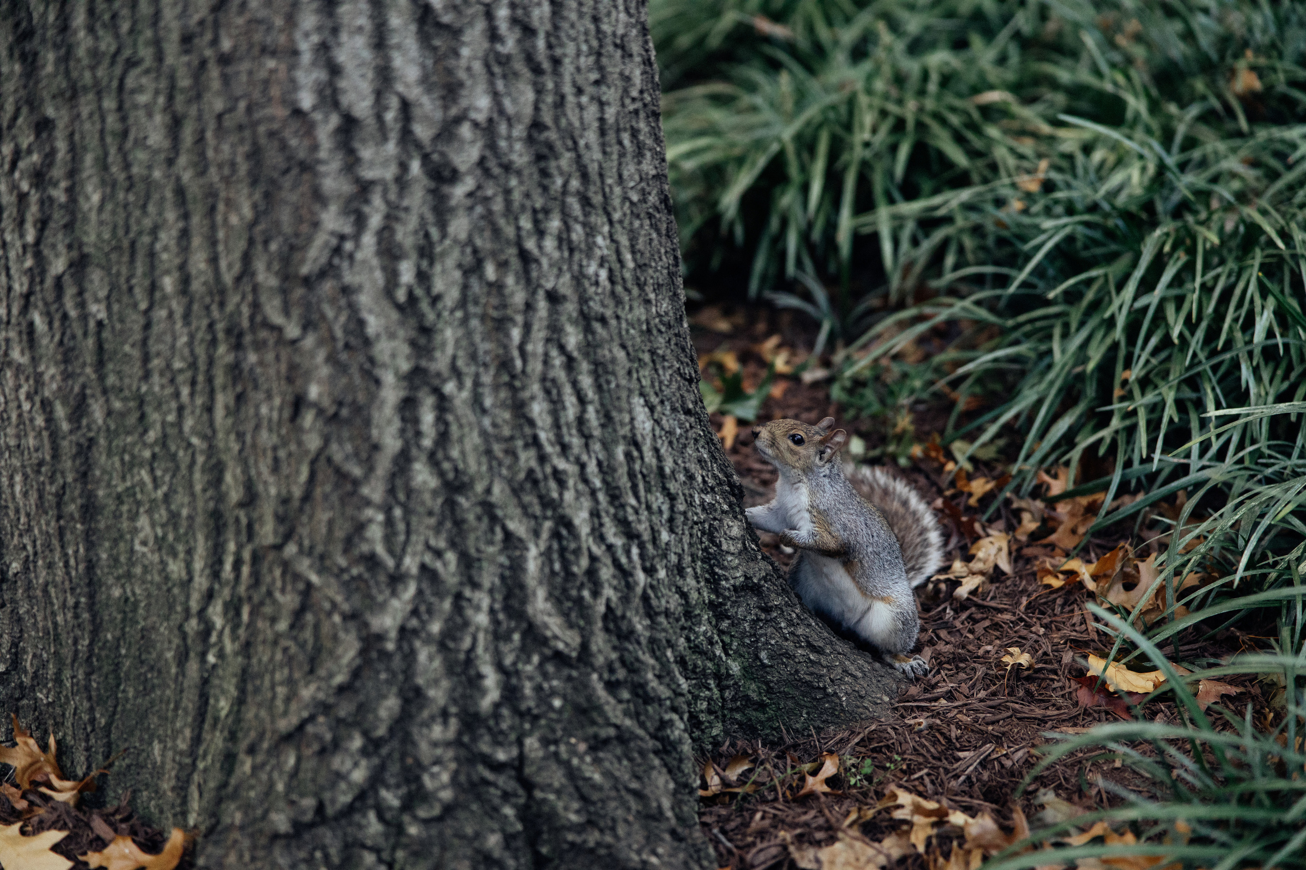 Alina, Clementine & Lionel. Every moment is special!