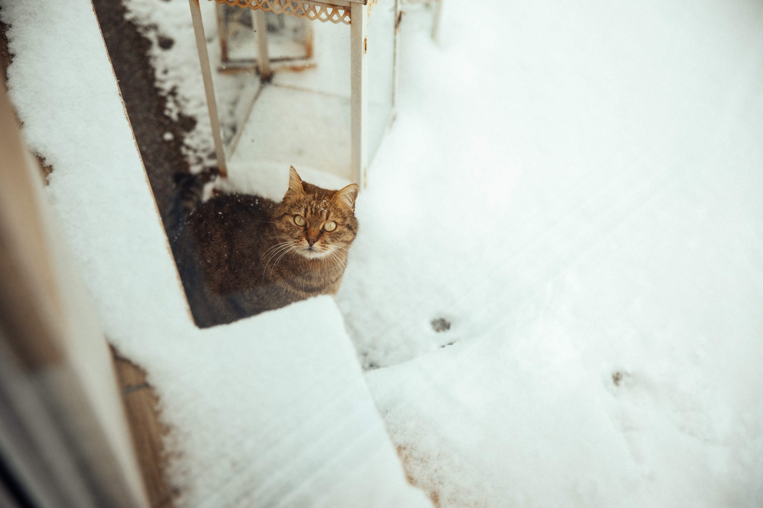 Be My Valentine. Every moment is special!