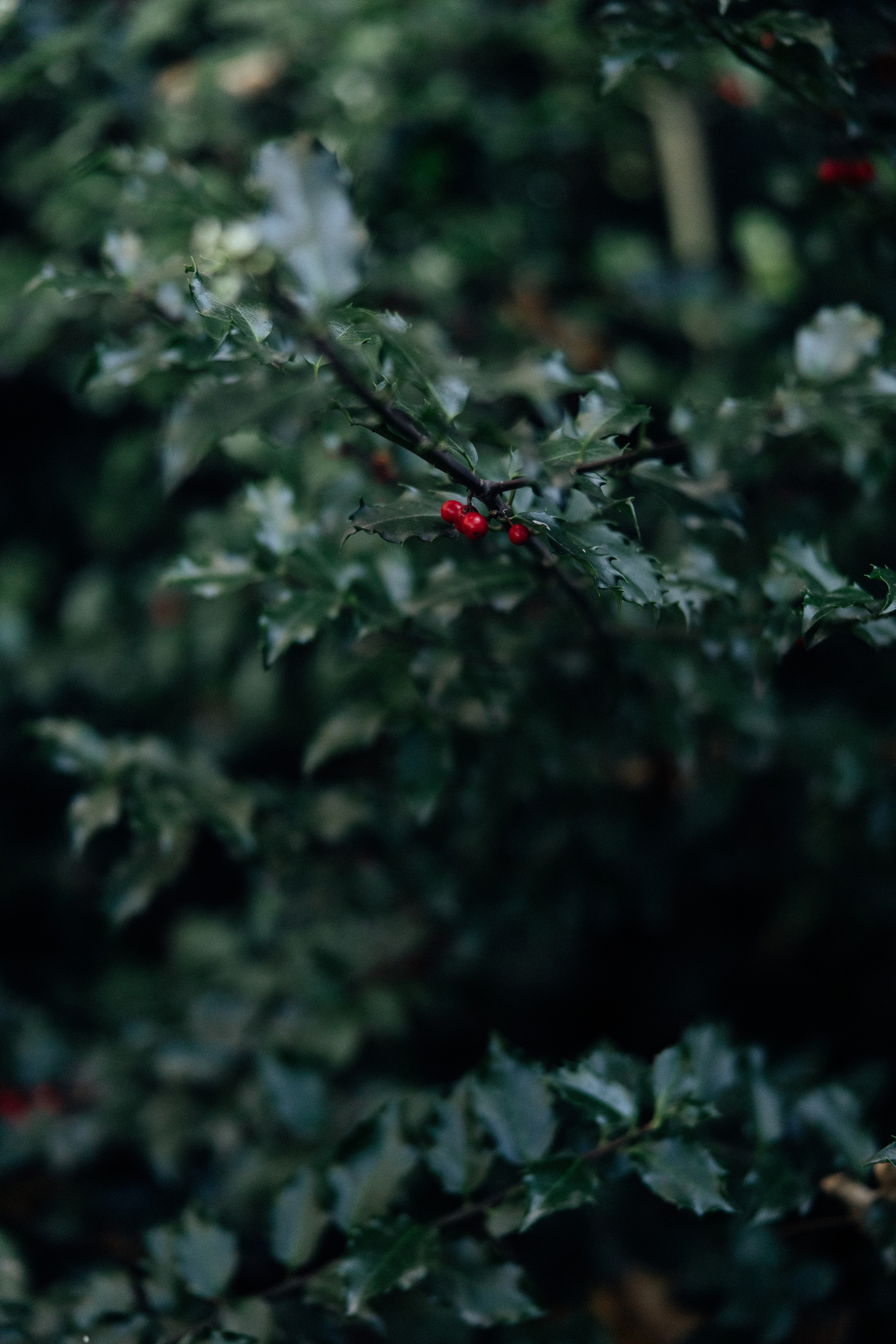 Alina, Clementine & Lionel. Every moment is special!