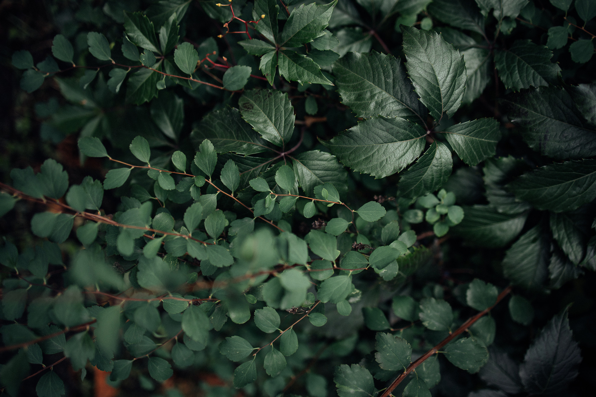 Вебінар з обробки. Every moment is special!