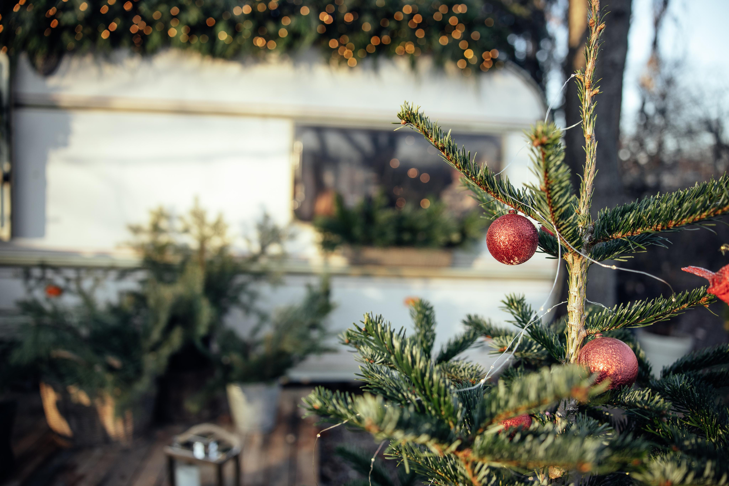 Jingle Bells. Every moment is special!