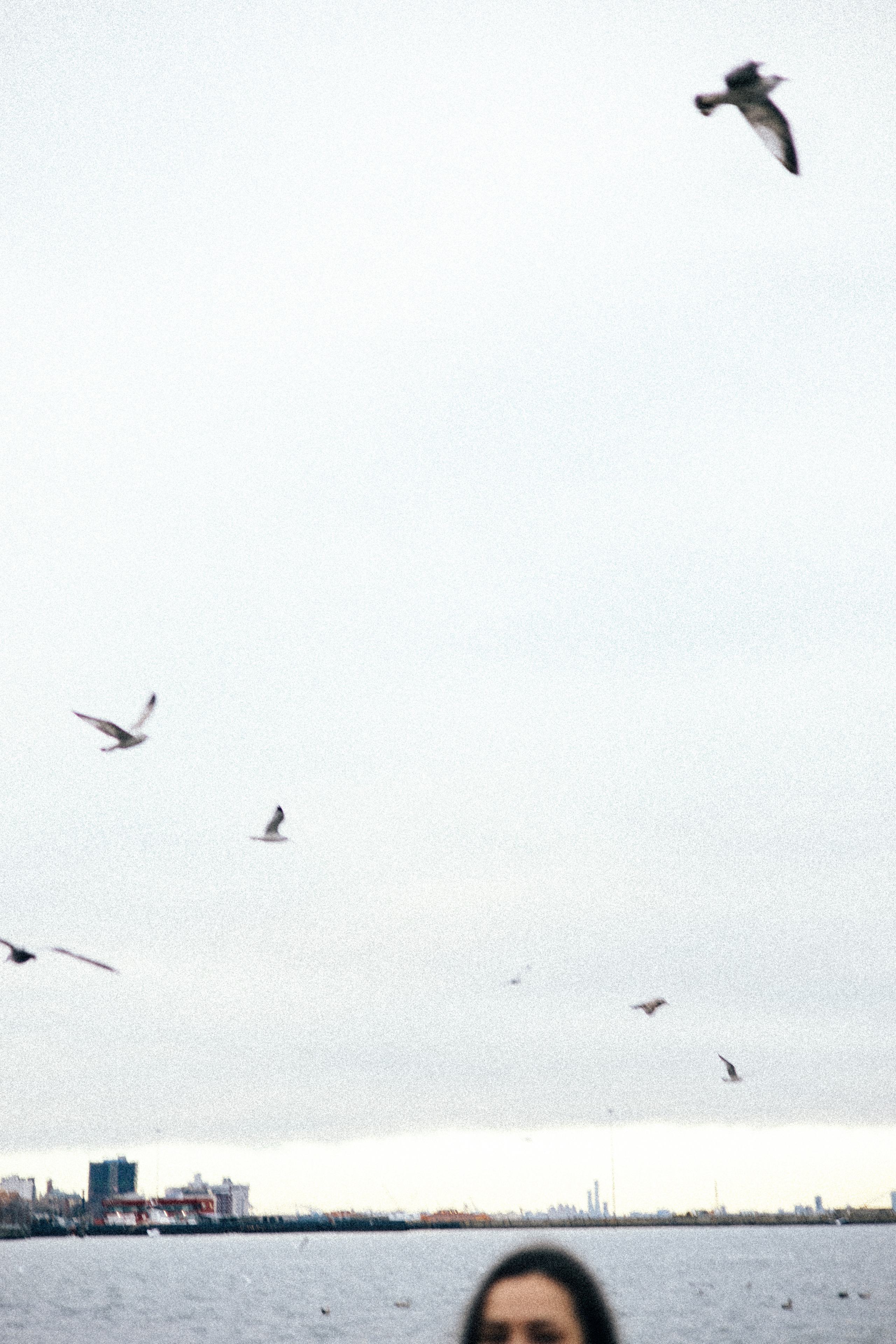 Mary&Birds. Every moment is special!