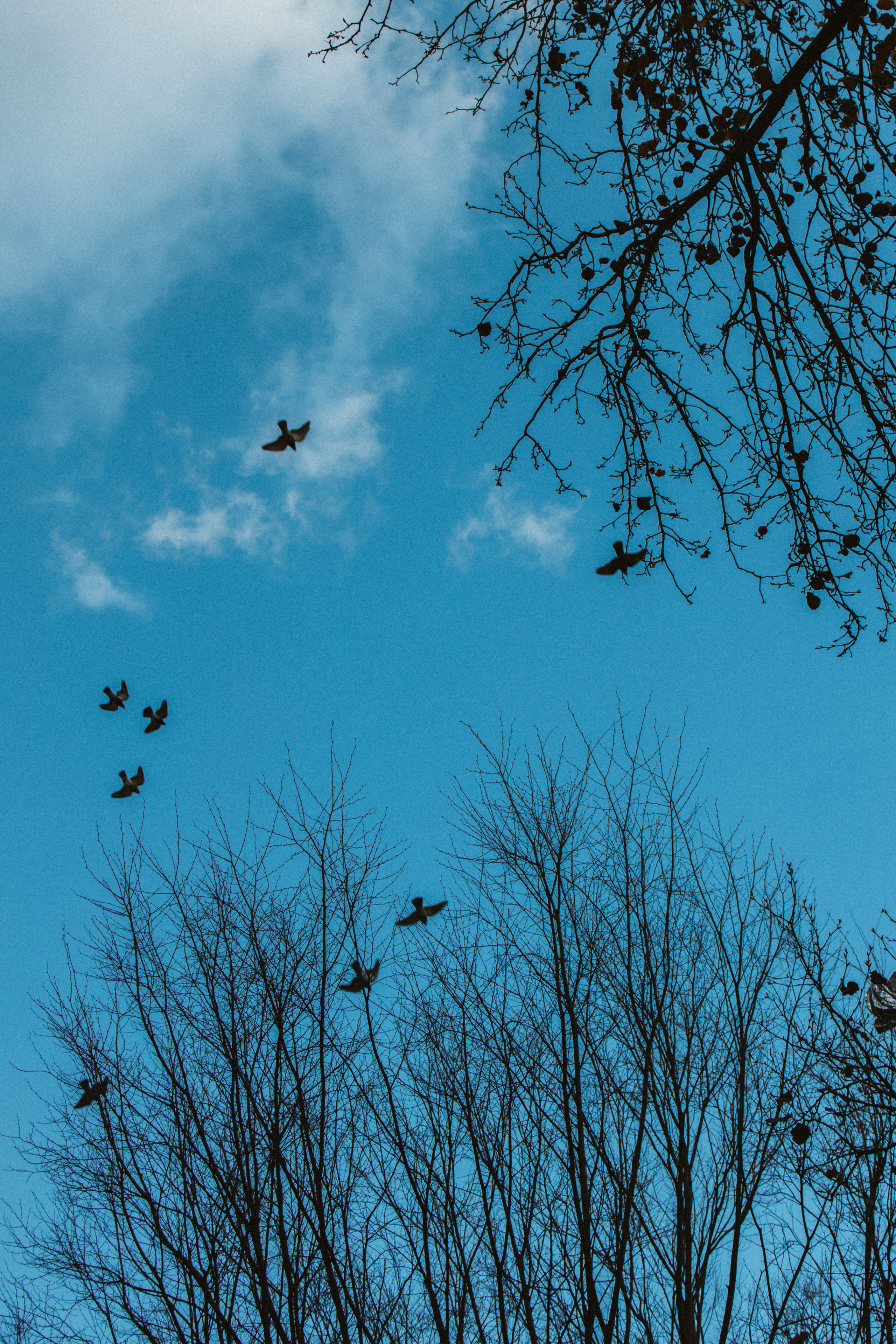 It’s Beginning to Look Like Christmas…. Every moment is special!