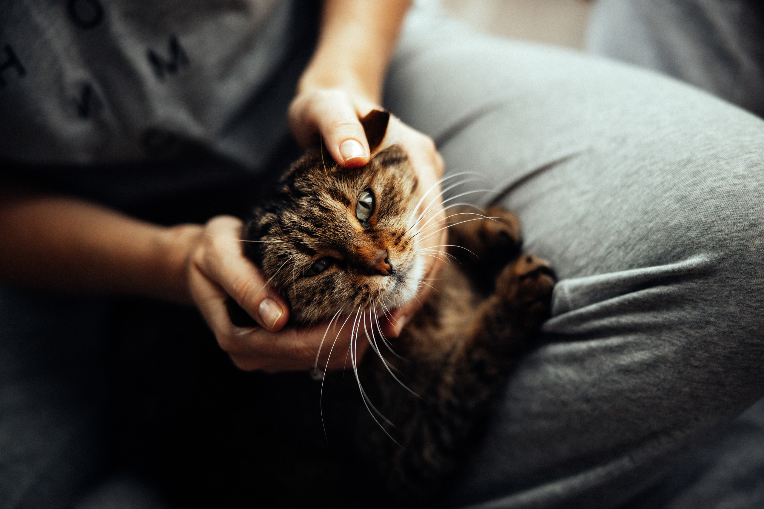 Be My Valentine. Every moment is special!