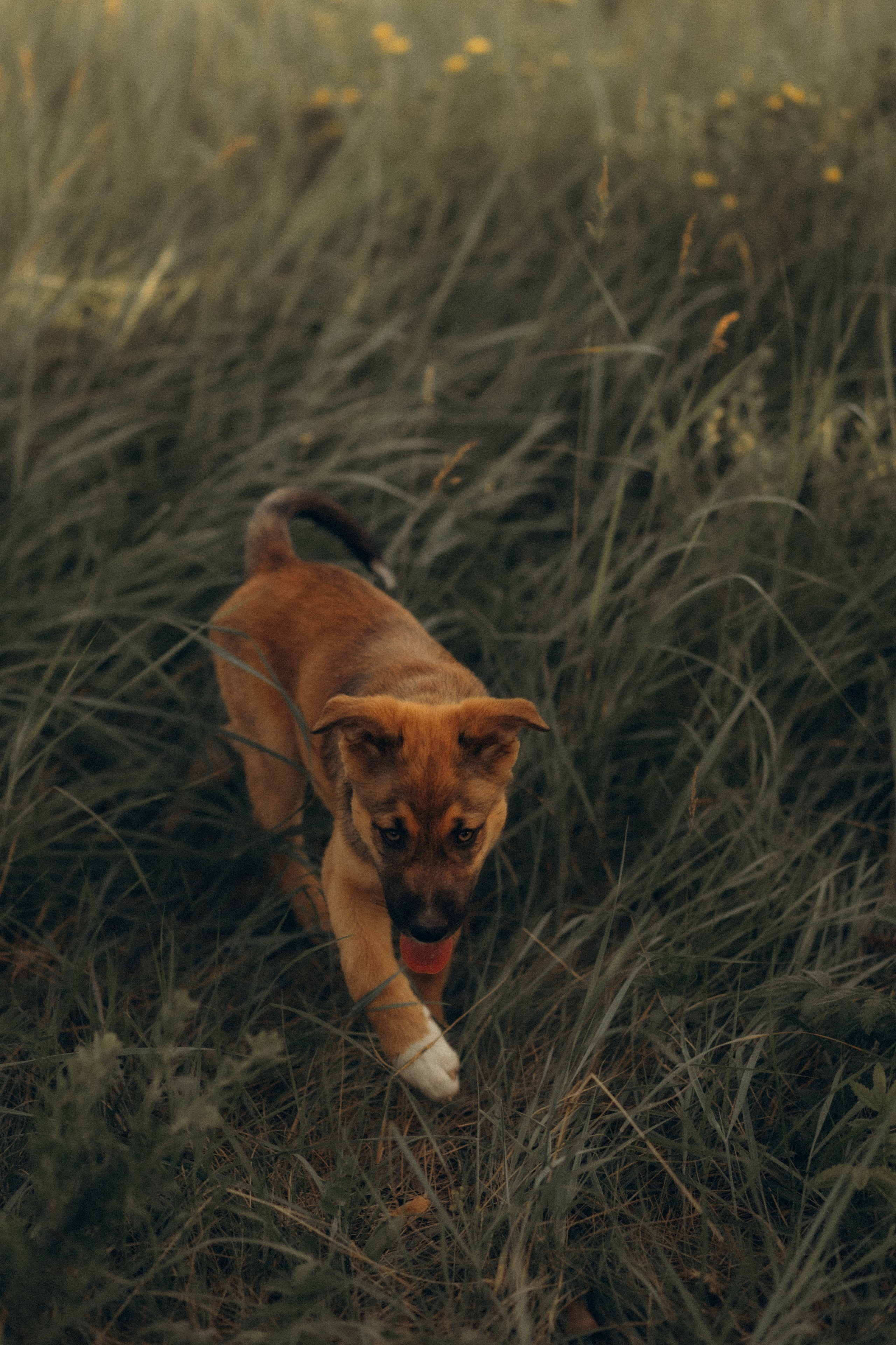 Stories of summer family days. Головна