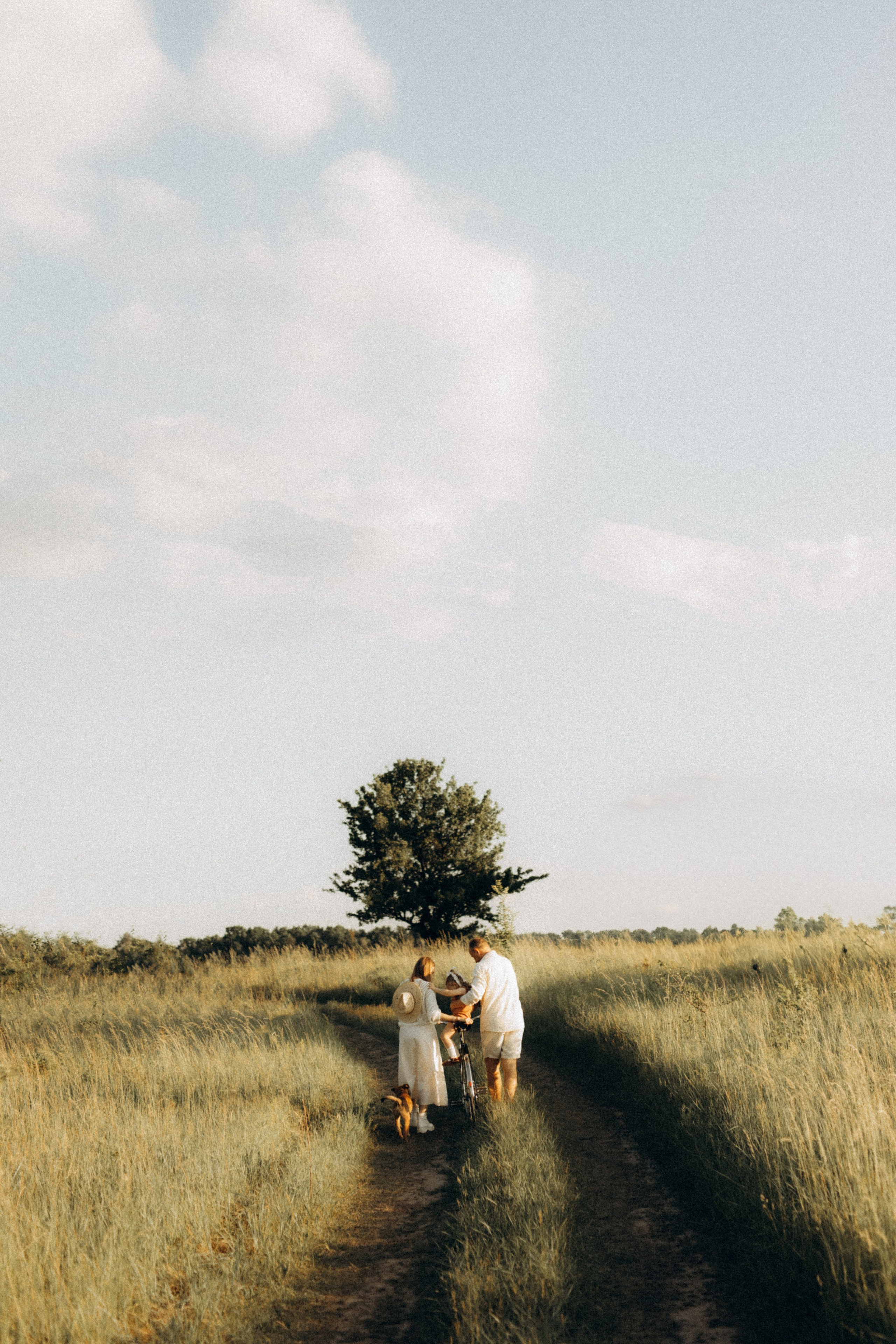 Stories of summer family days. Головна