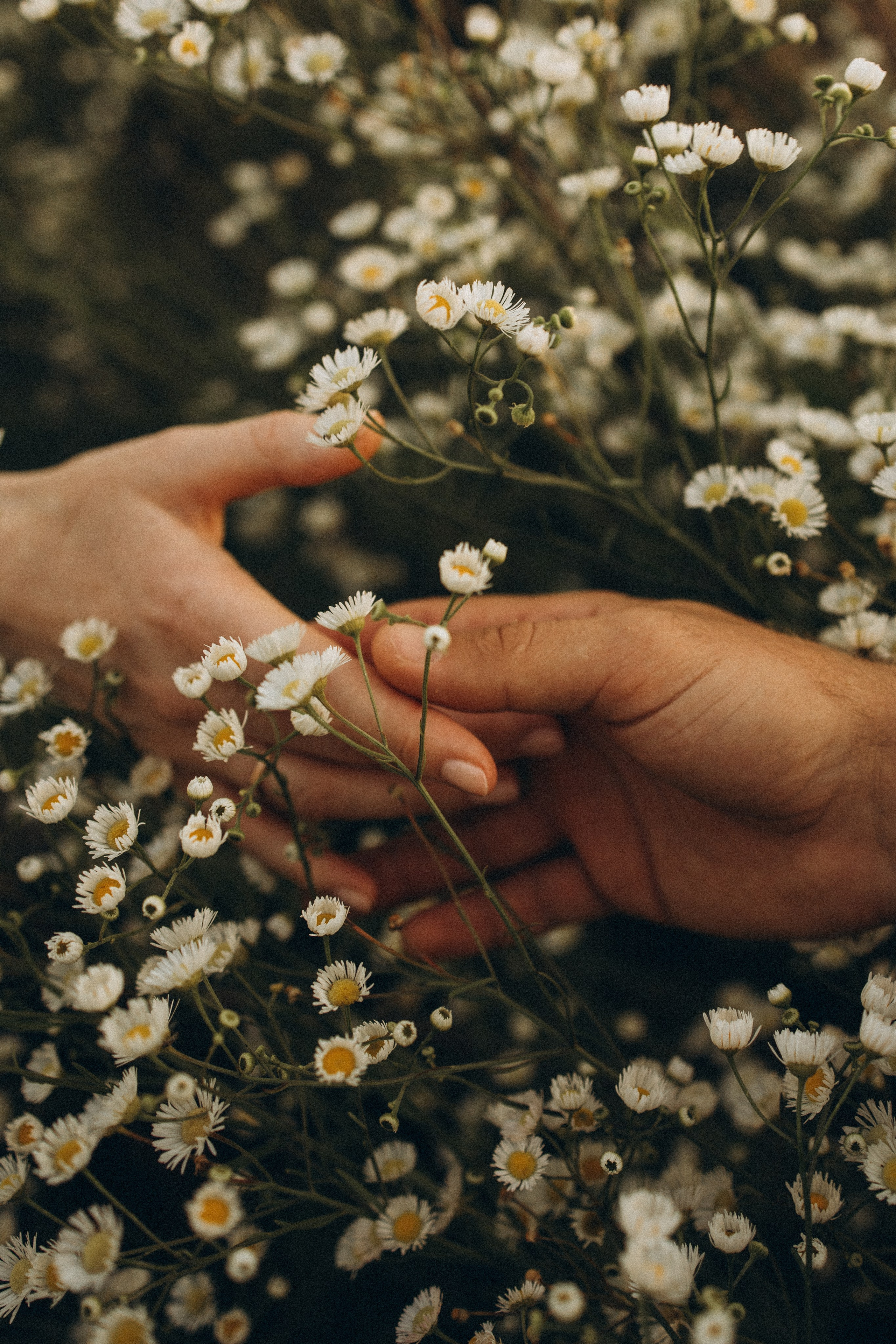 Літня історія. Головна