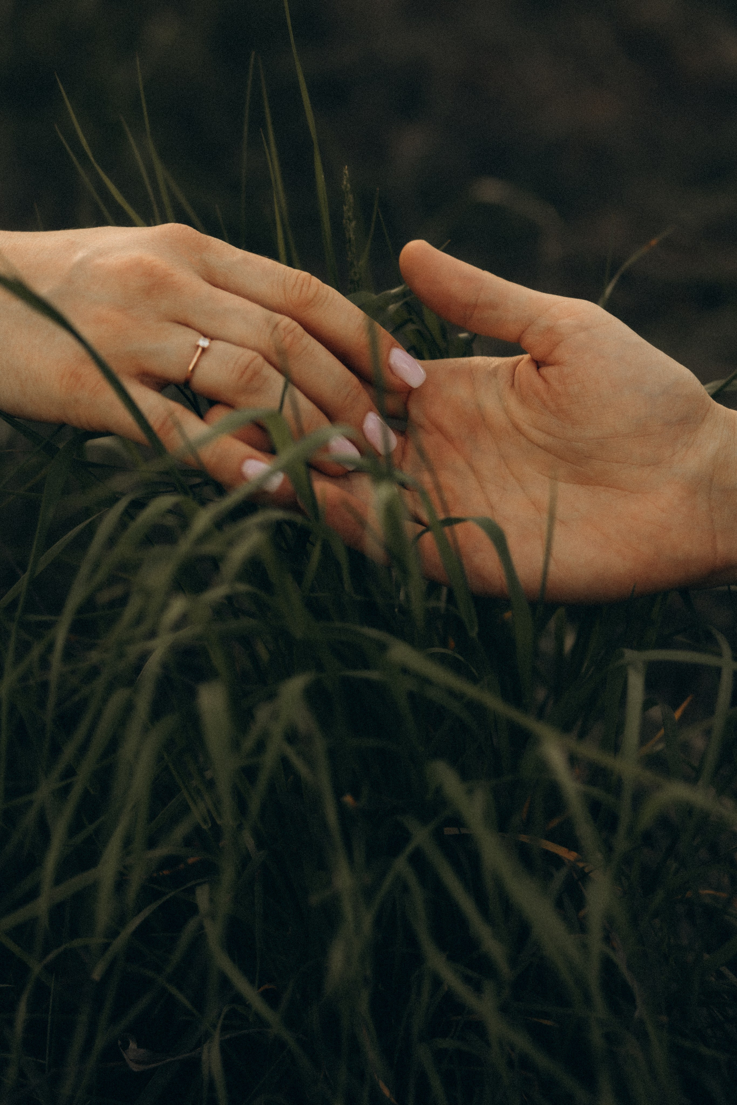 Ти мій Дім. Головна