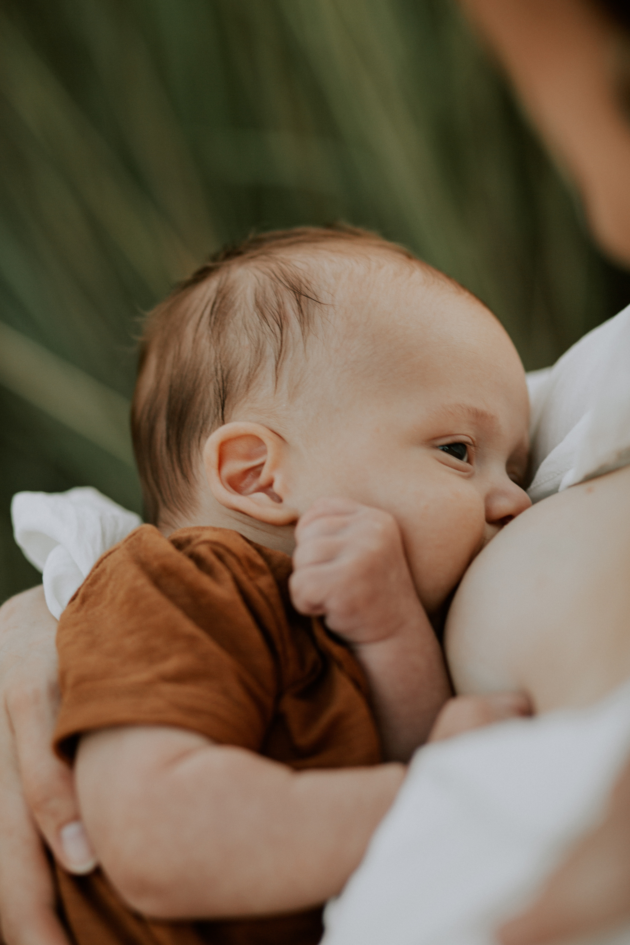 Юля+Андрей+Лев. Головна