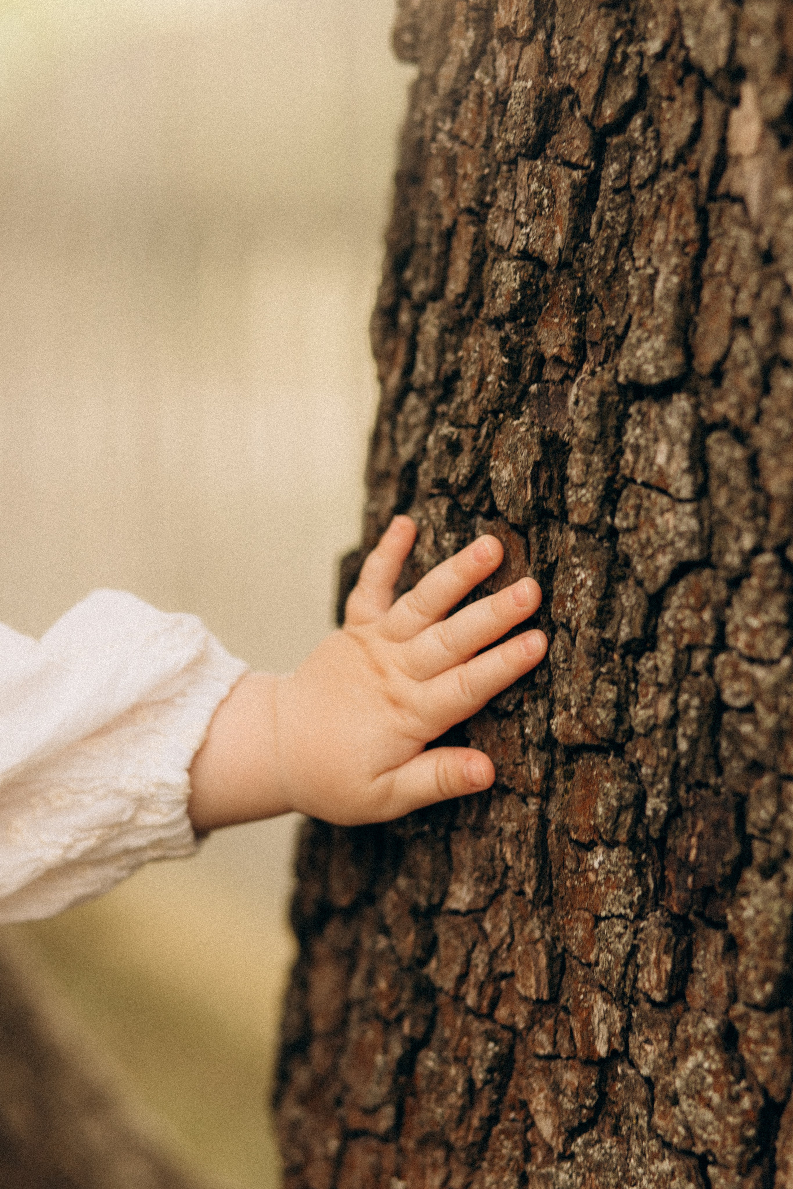 Тепло наших сердець. Головна