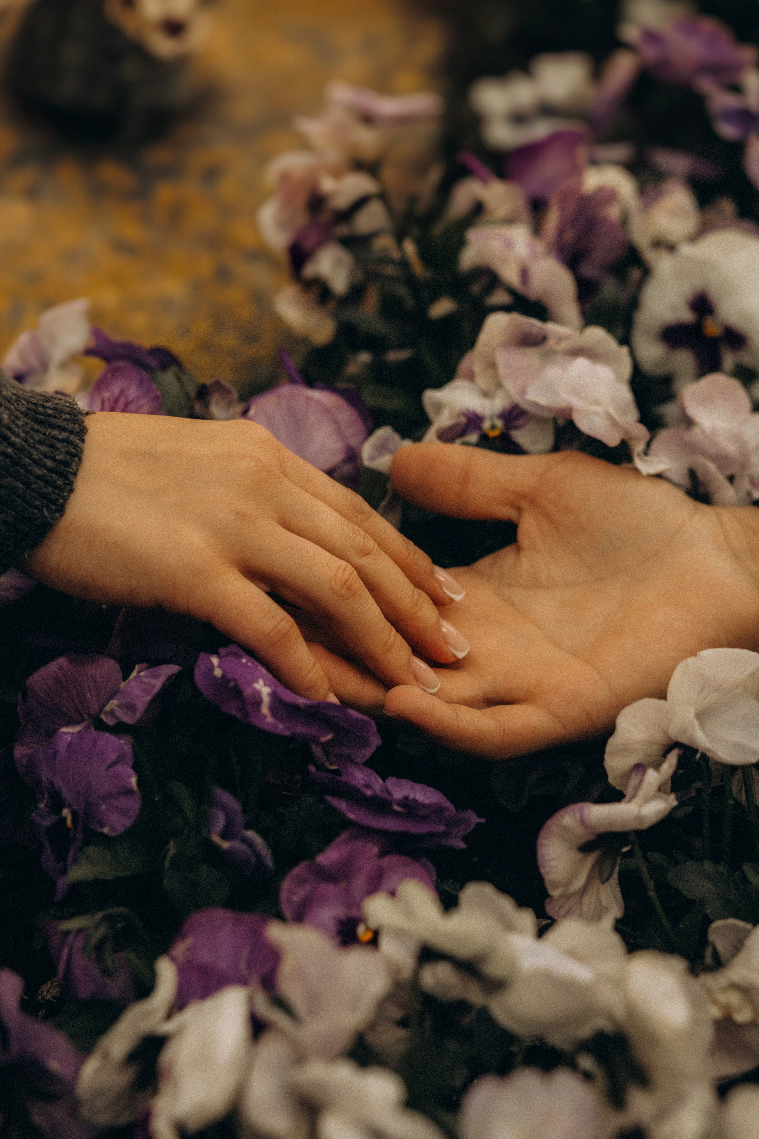 So in Love. Головна