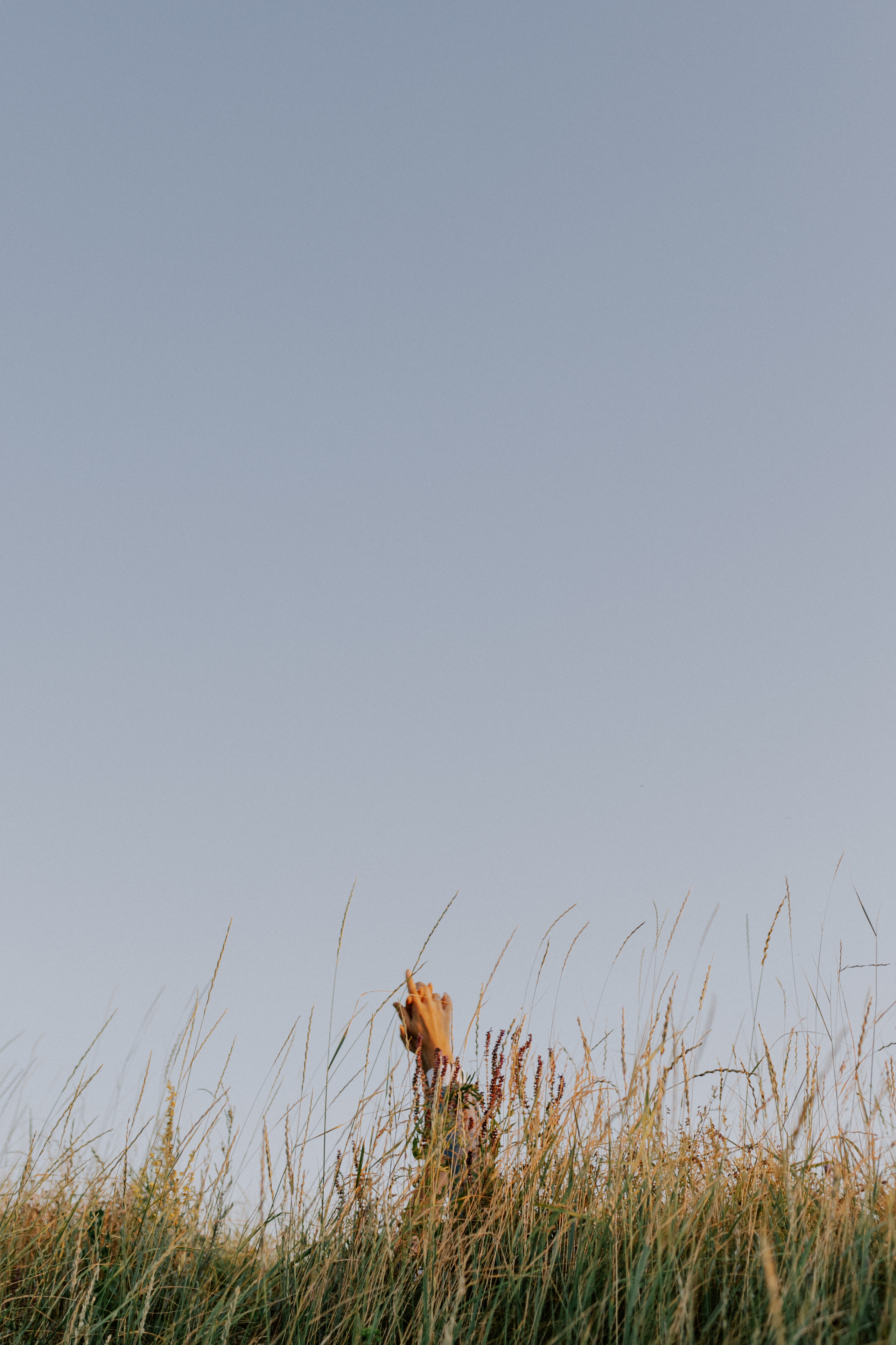 Вика+Тим. Головна