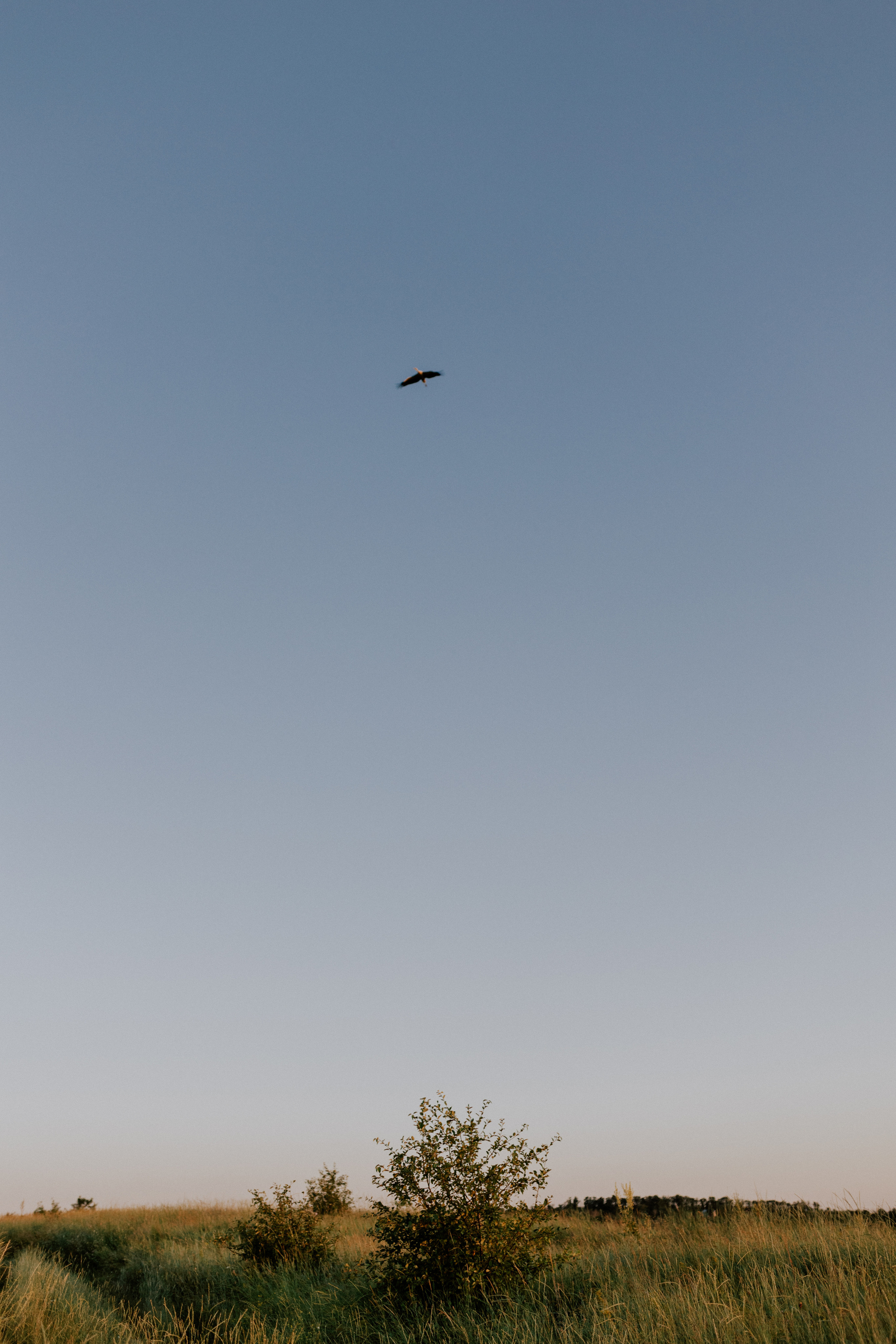 Вика+Тим. Головна