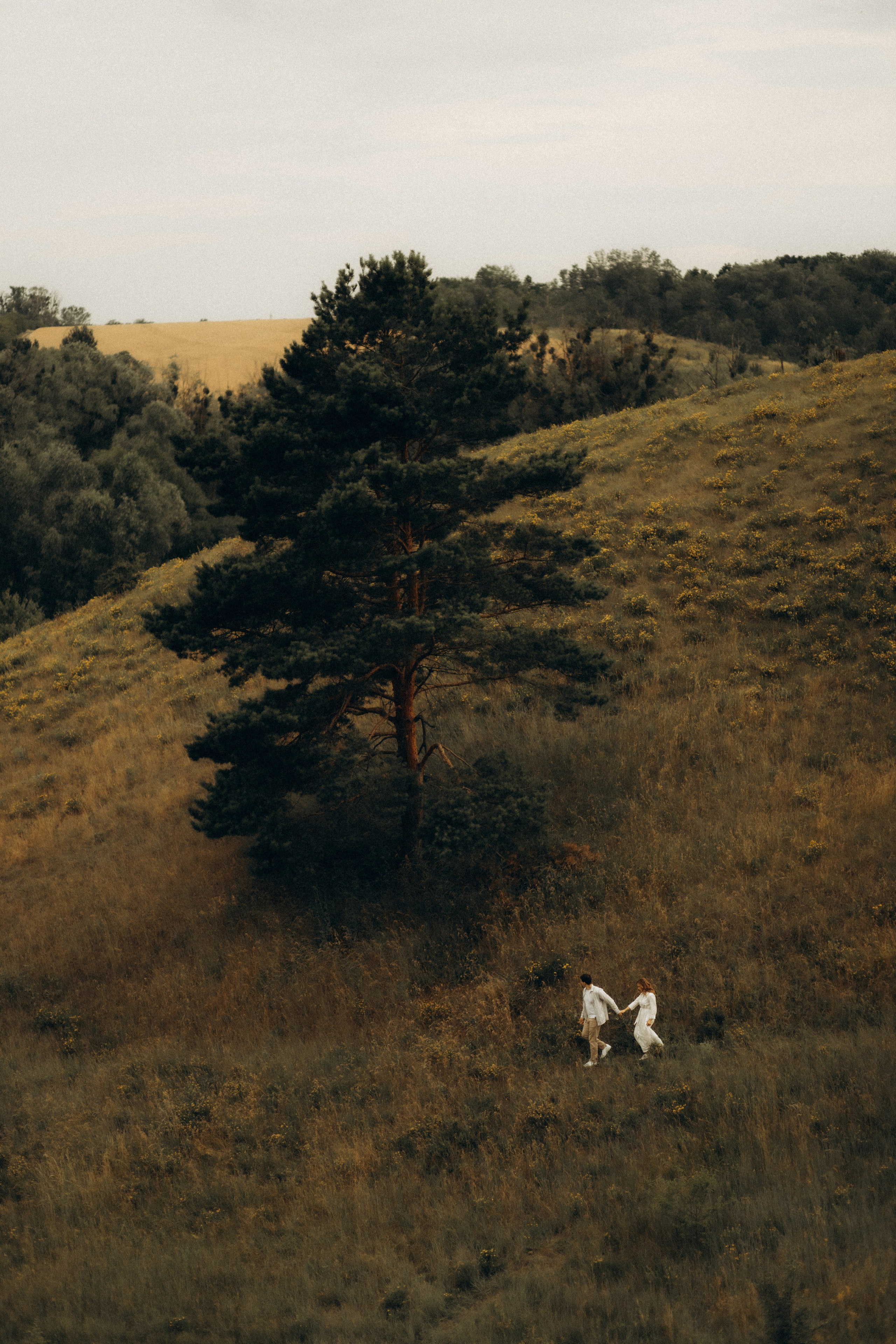 Together to the ends of the world. Головна