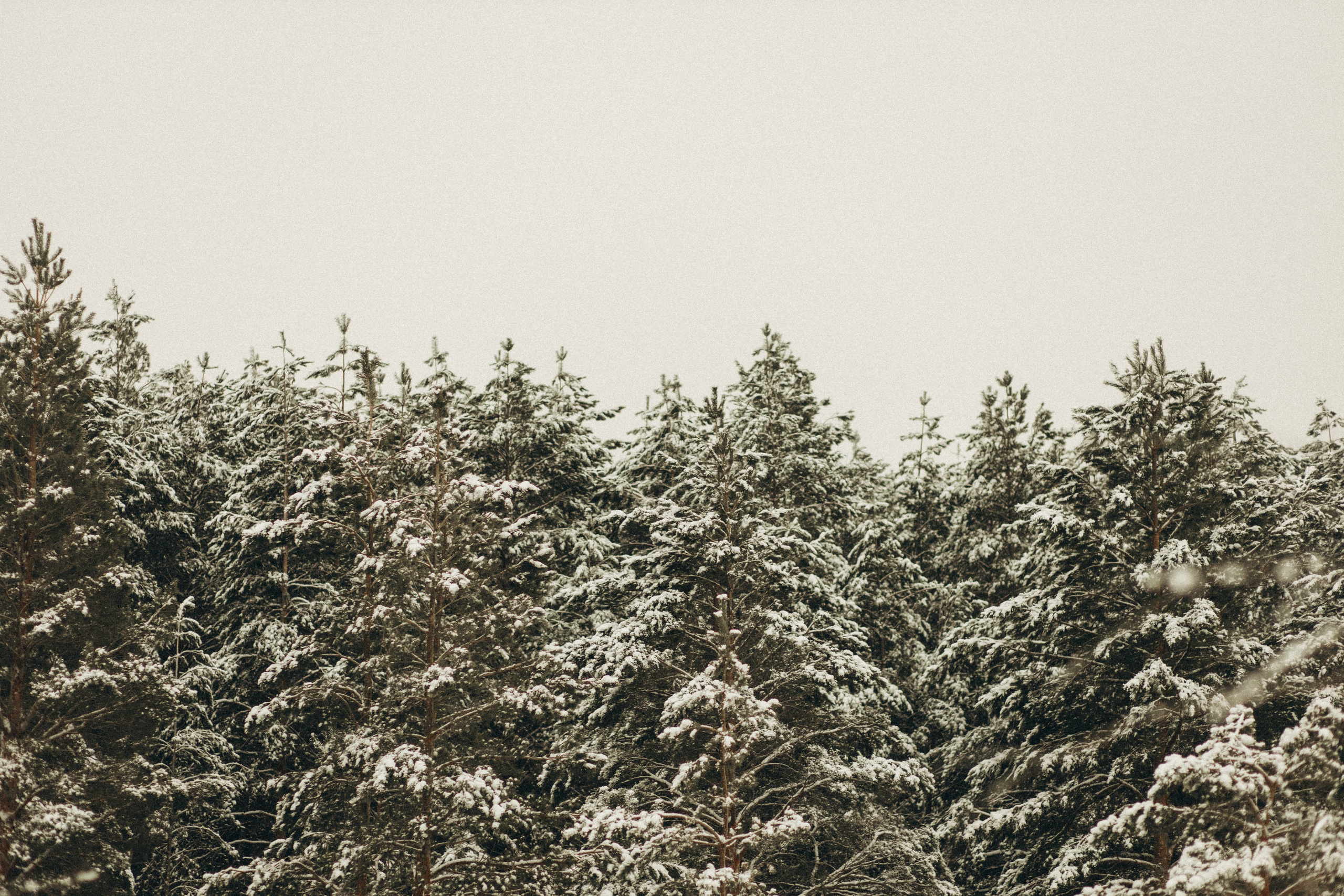Будь моїм берегом. Сімейні фотографи Артем і Таїсія Ступак