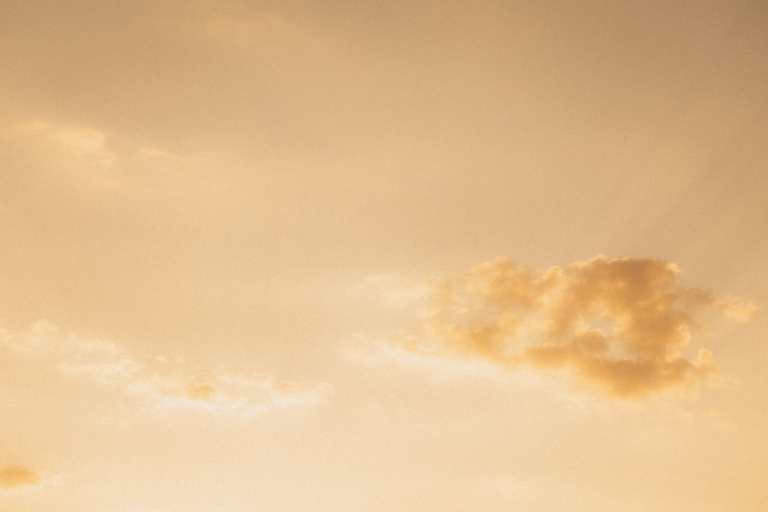 Stories of summer family days. Головна