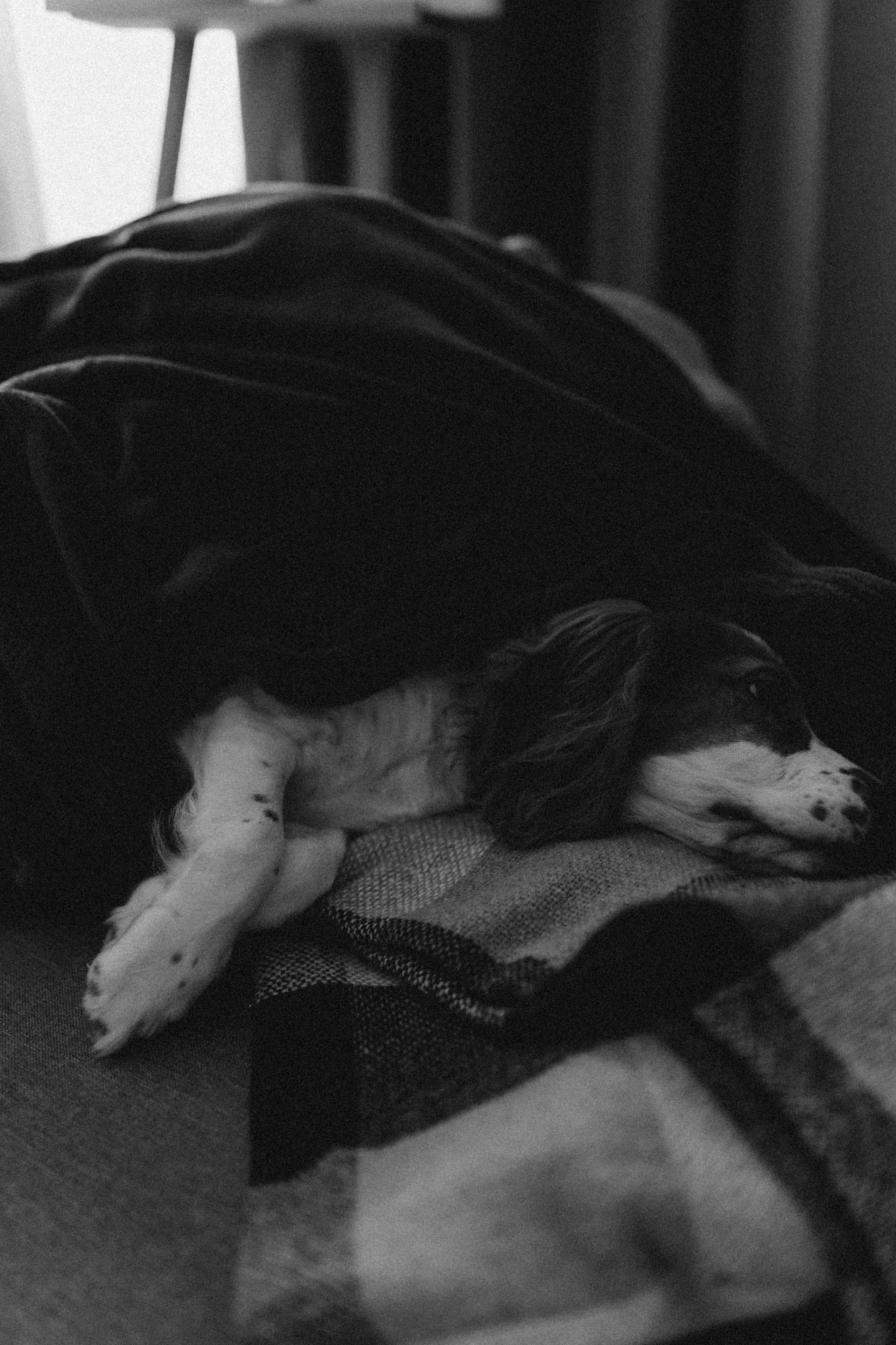 Рідні душі. Головна