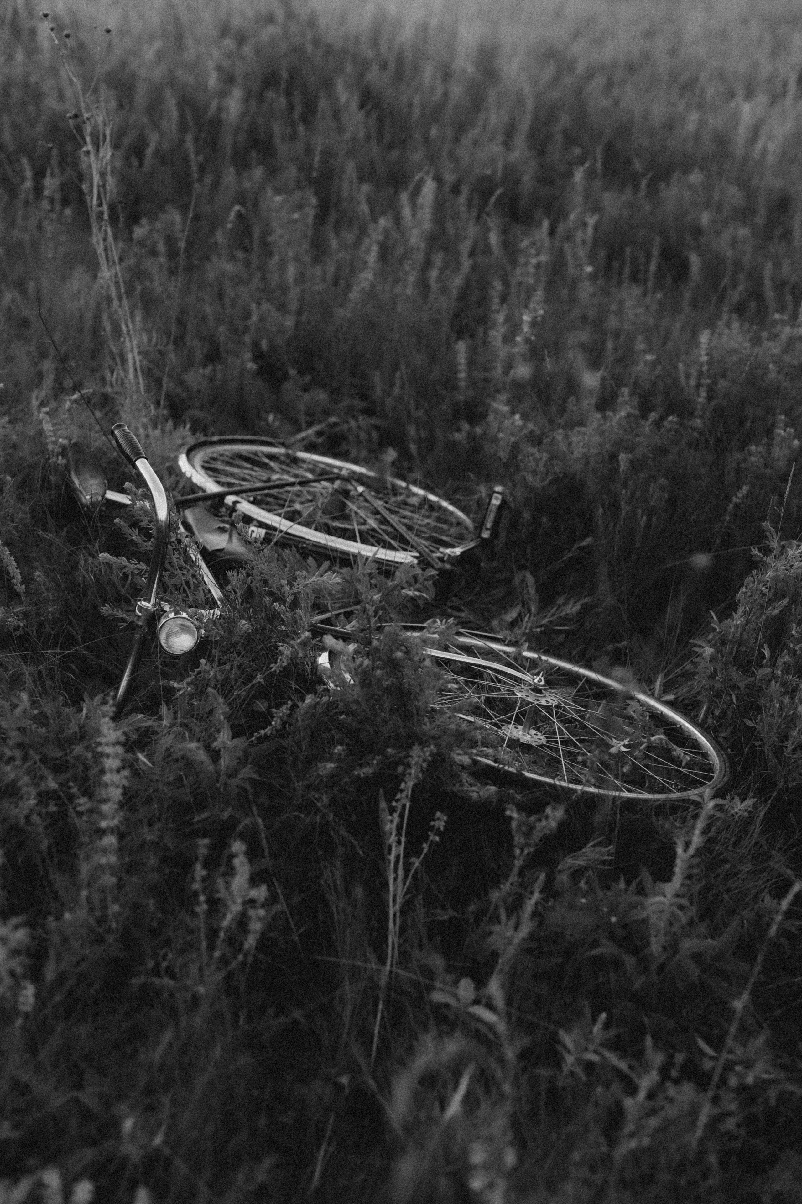 Stories of summer family days. Головна